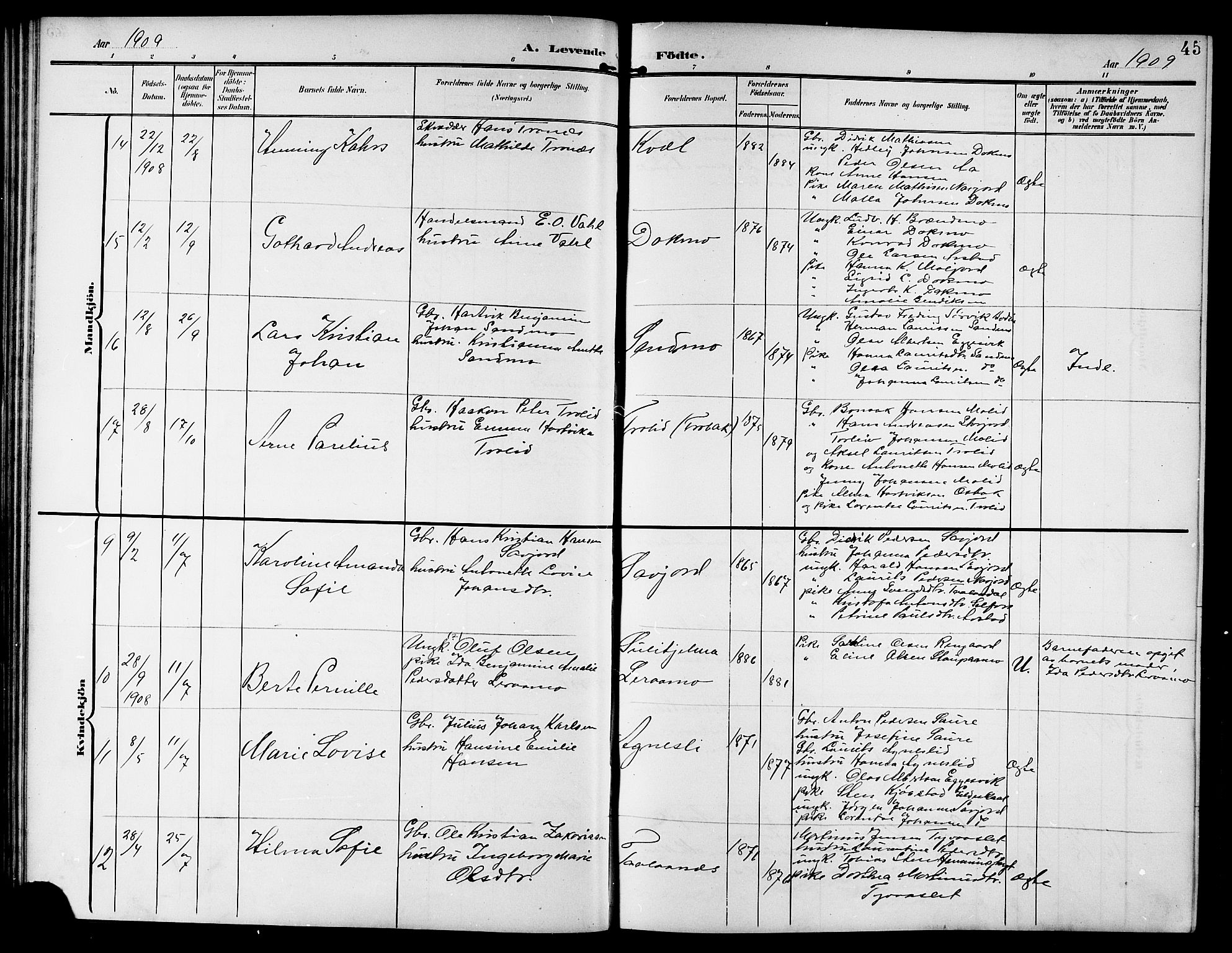 Ministerialprotokoller, klokkerbøker og fødselsregistre - Nordland, AV/SAT-A-1459/846/L0655: Klokkerbok nr. 846C05, 1902-1916, s. 45