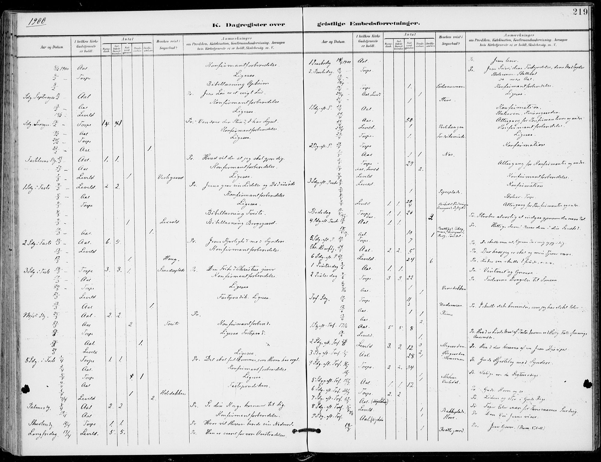 Ål kirkebøker, SAKO/A-249/F/Fa/L0009: Ministerialbok nr. I 9, 1897-1915, s. 219