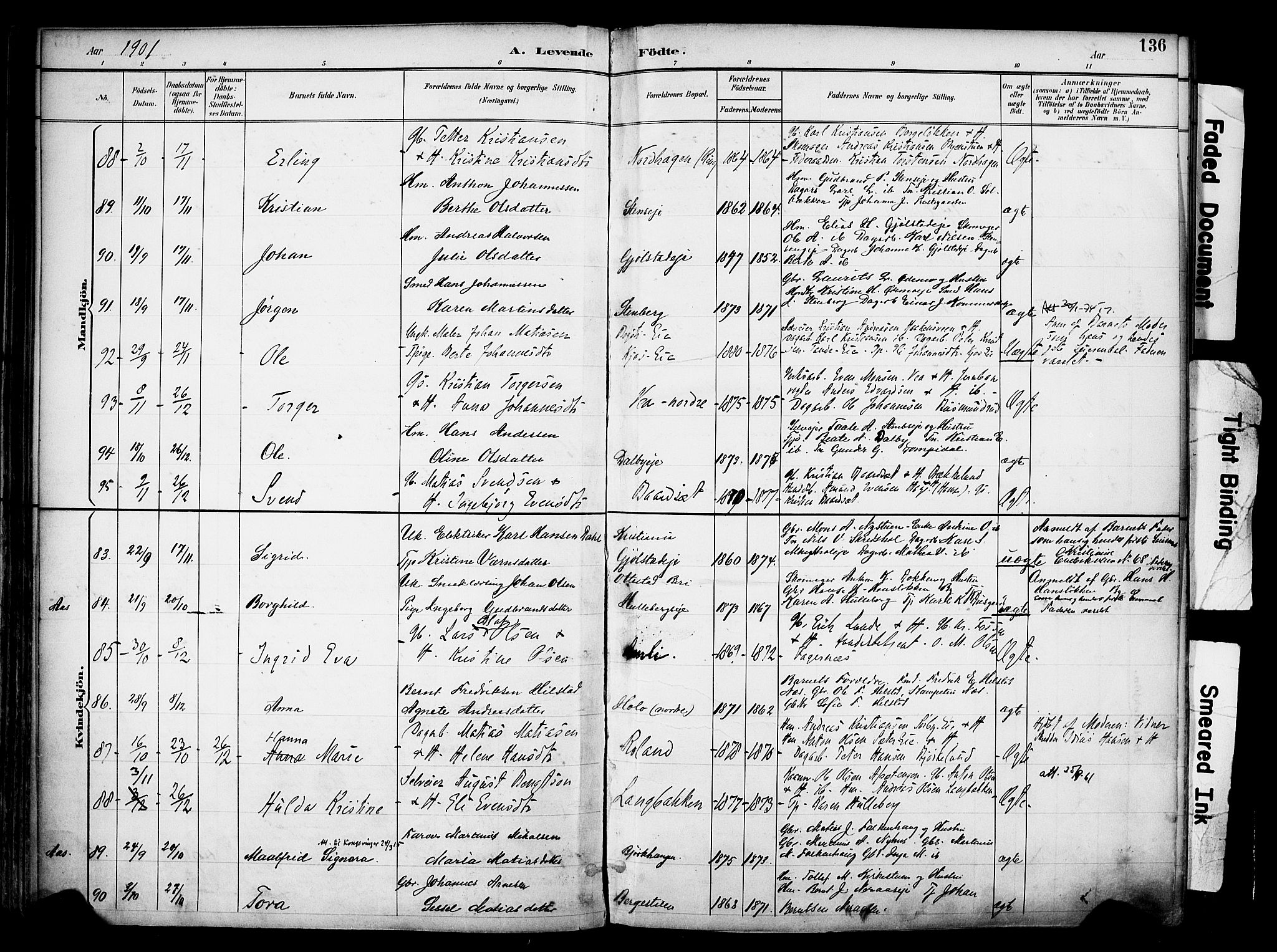 Ringsaker prestekontor, AV/SAH-PREST-014/K/Ka/L0017: Ministerialbok nr. 17, 1891-1902, s. 136