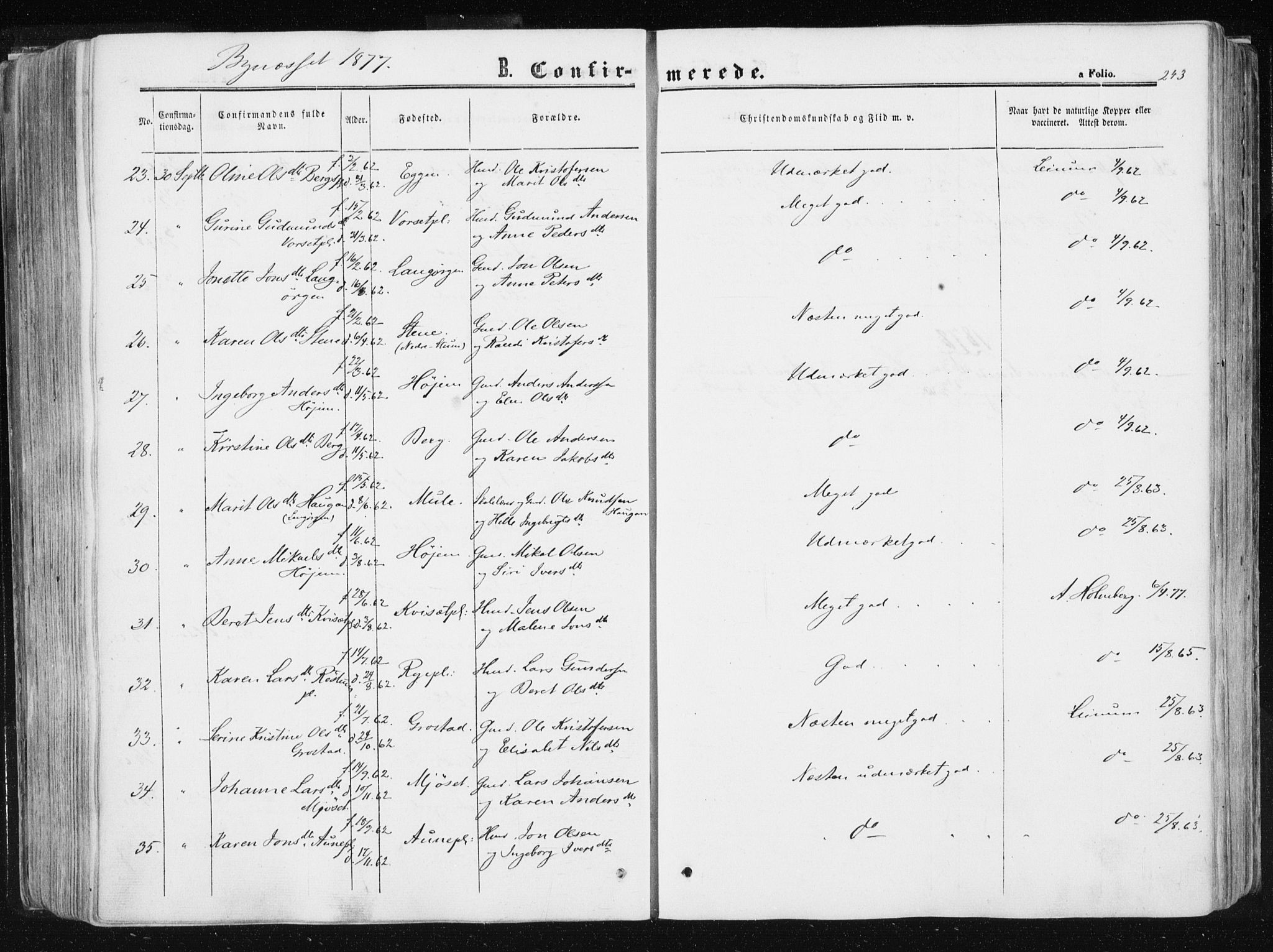 Ministerialprotokoller, klokkerbøker og fødselsregistre - Sør-Trøndelag, SAT/A-1456/612/L0377: Ministerialbok nr. 612A09, 1859-1877, s. 243