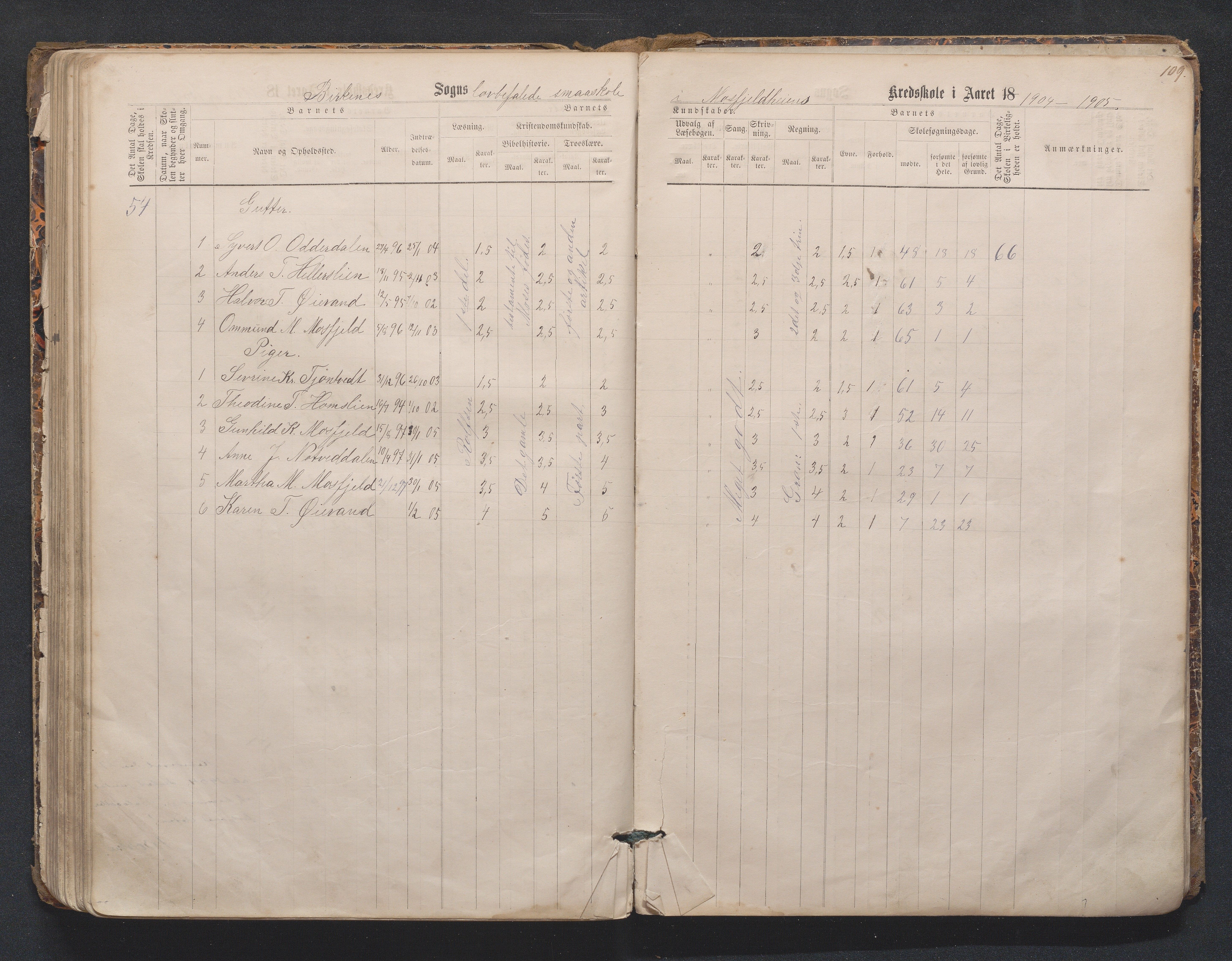 Birkenes kommune, Mosfjell skolekrets, AAKS/KA0928-550f_91/F02/L0001: Skoleprotokoll Flå og Mosfjell, 1867-1909, s. 109