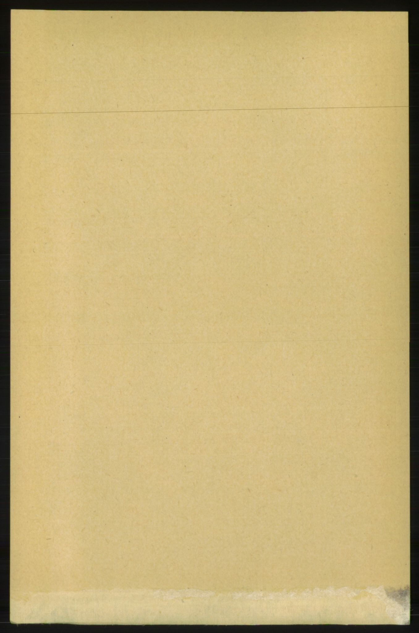 RA, Folketelling 1891 for 1567 Rindal herred, 1891, s. 1202