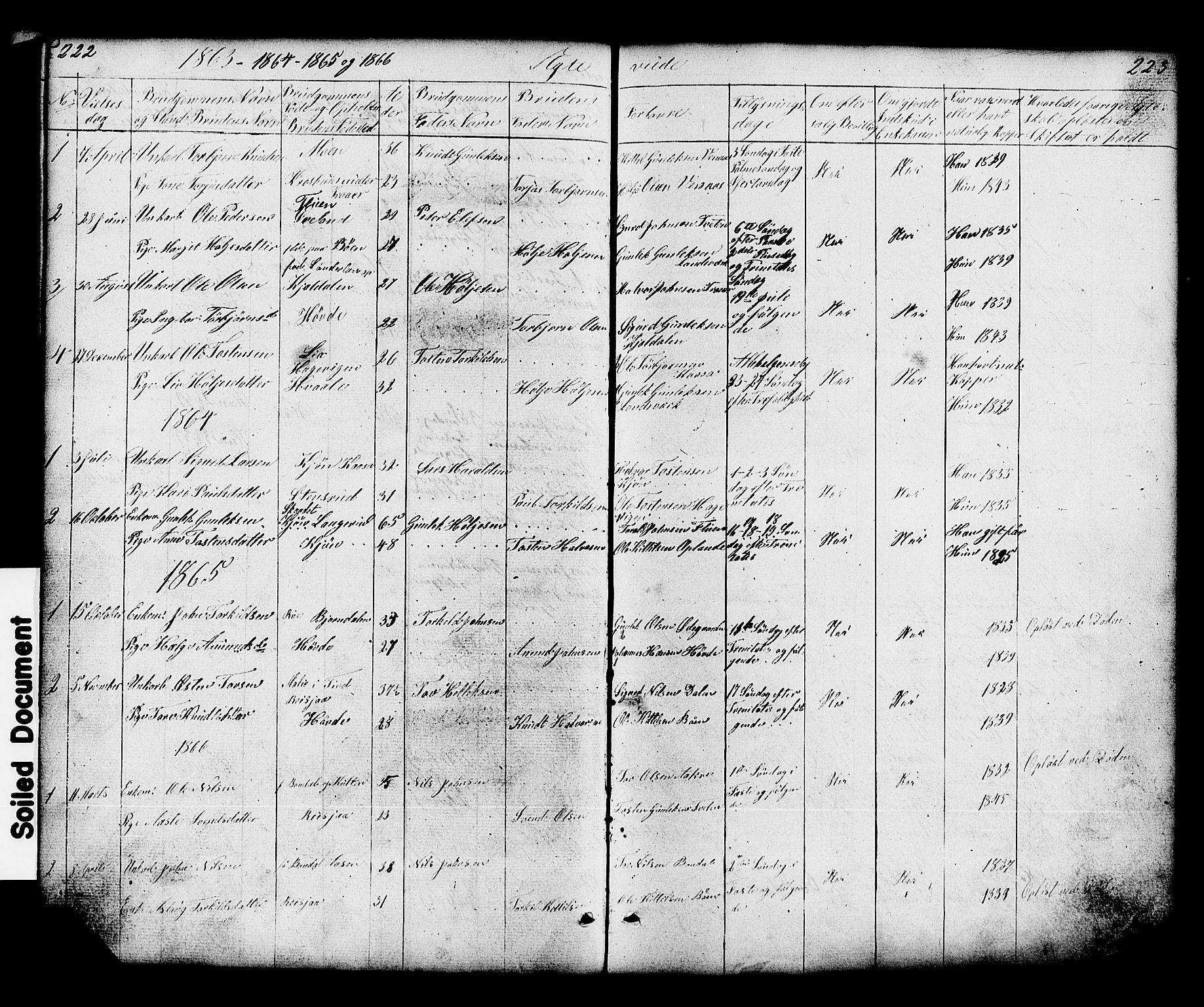 Hjartdal kirkebøker, AV/SAKO-A-270/G/Gc/L0002: Klokkerbok nr. III 2, 1854-1890, s. 222-223