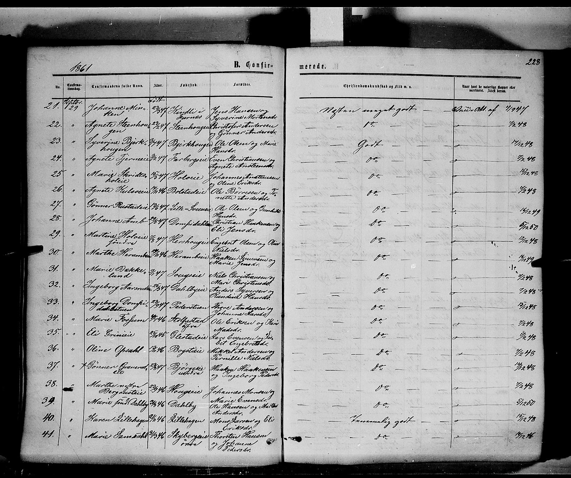 Ringsaker prestekontor, AV/SAH-PREST-014/K/Ka/L0010: Ministerialbok nr. 10, 1861-1869, s. 228