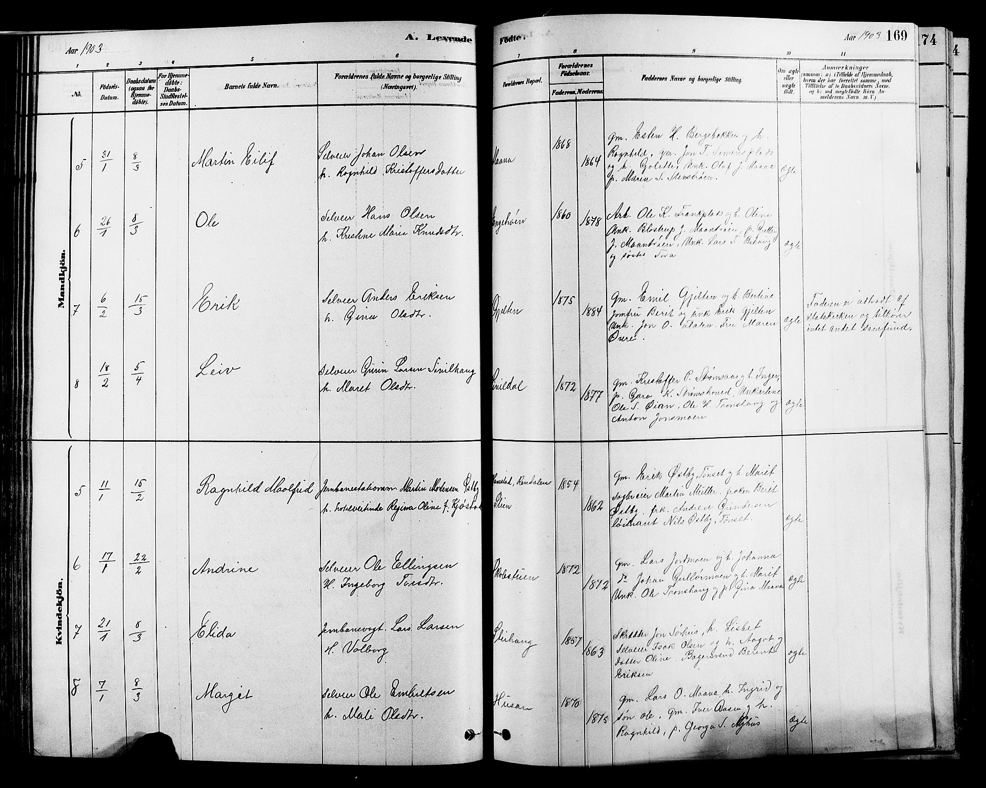 Alvdal prestekontor, SAH/PREST-060/H/Ha/Hab/L0003: Klokkerbok nr. 3, 1878-1907, s. 169