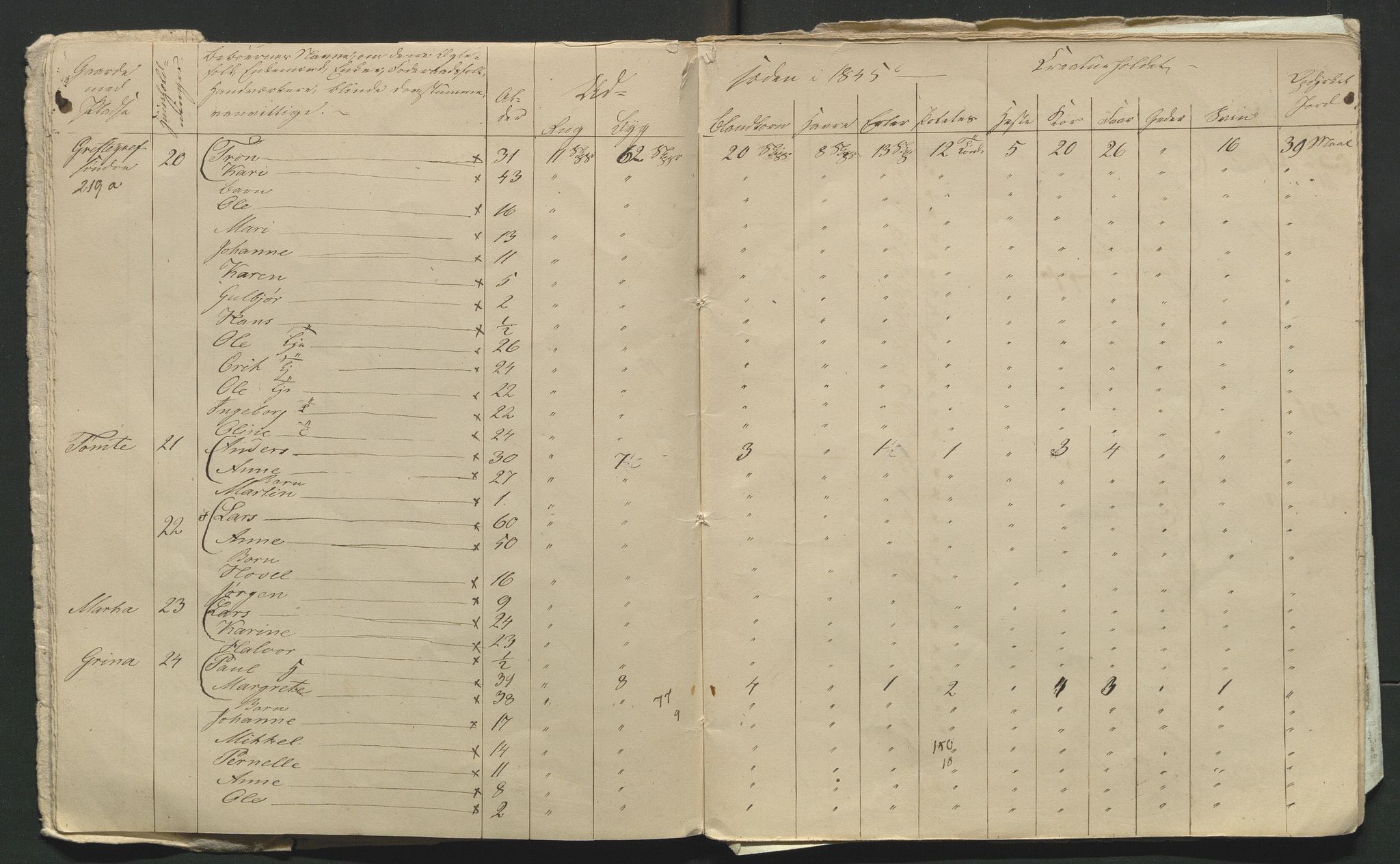 SAH, Lokaliasamlingen for Hedmark og Oppland fylker m.v.: Folketellingen 1845 for Jevnaker prestegjeld, 1845, s. 164