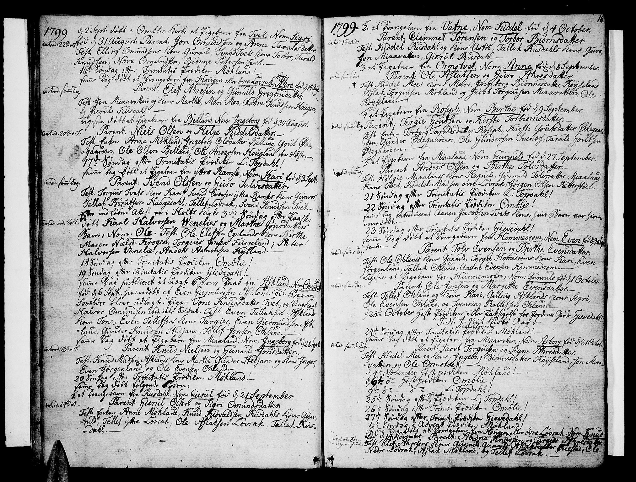 Åmli sokneprestkontor, AV/SAK-1111-0050/F/Fa/Fac/L0005: Ministerialbok nr. A 5, 1796-1816, s. 16
