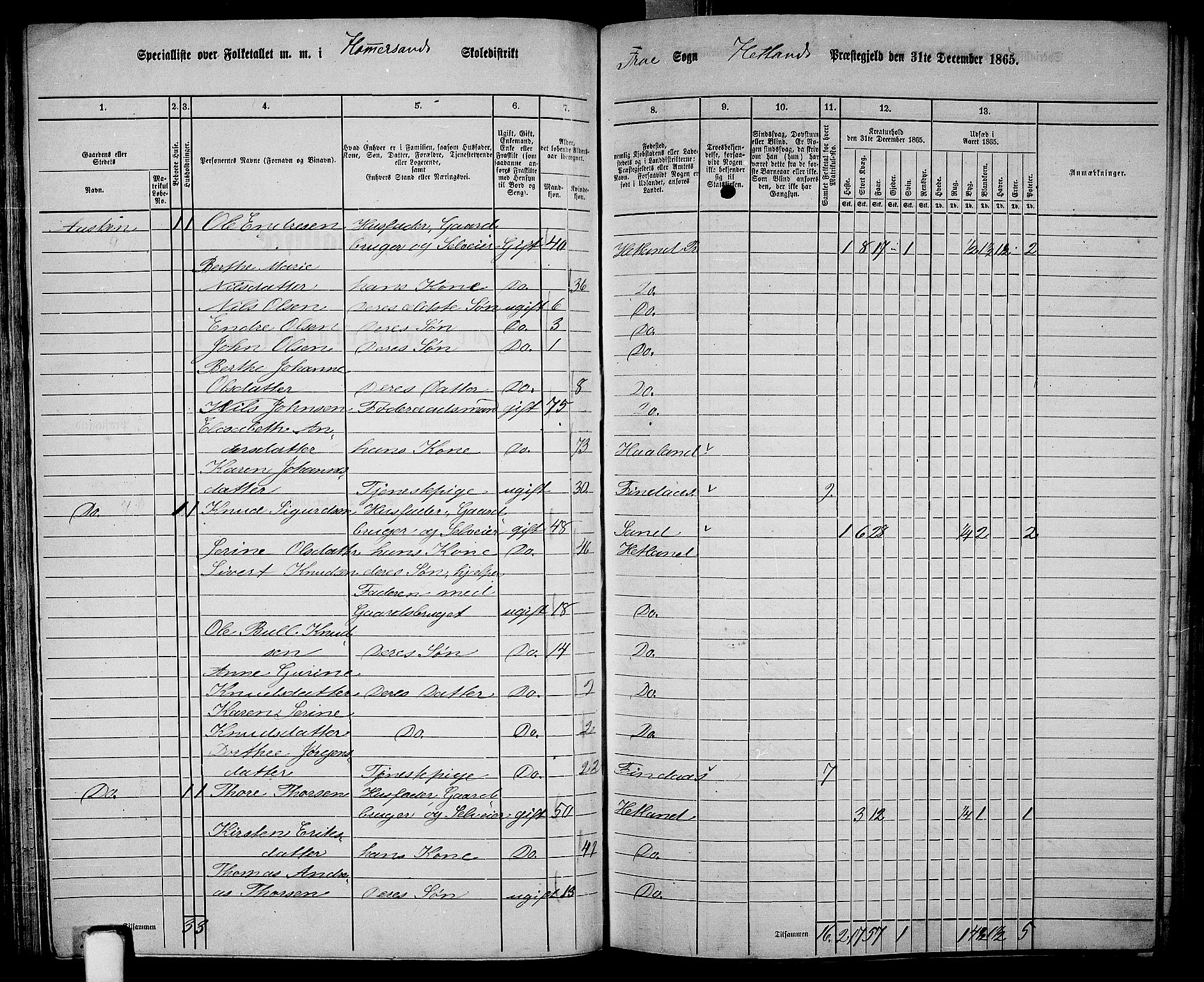RA, Folketelling 1865 for 1126P Hetland prestegjeld, 1865, s. 67
