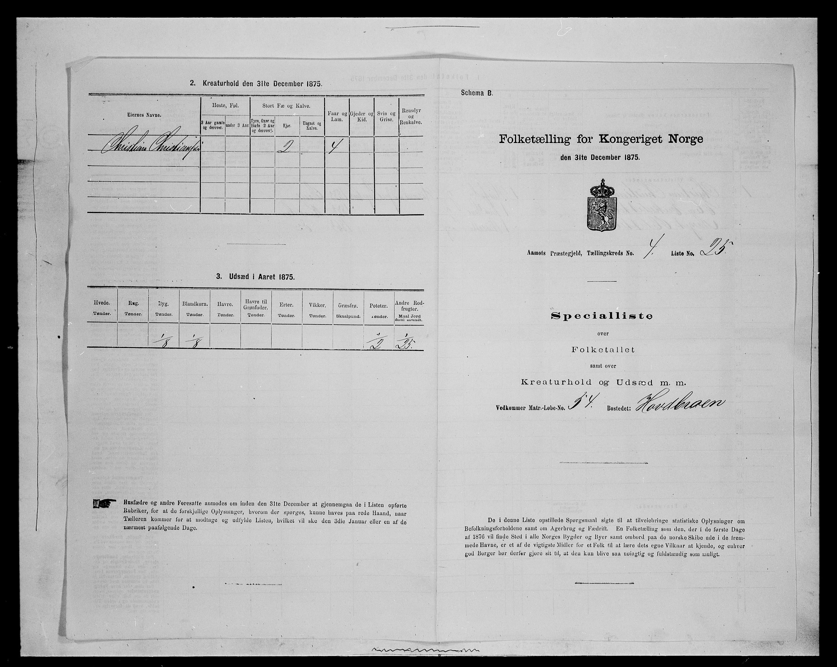 SAH, Folketelling 1875 for 0429P Åmot prestegjeld, 1875, s. 726