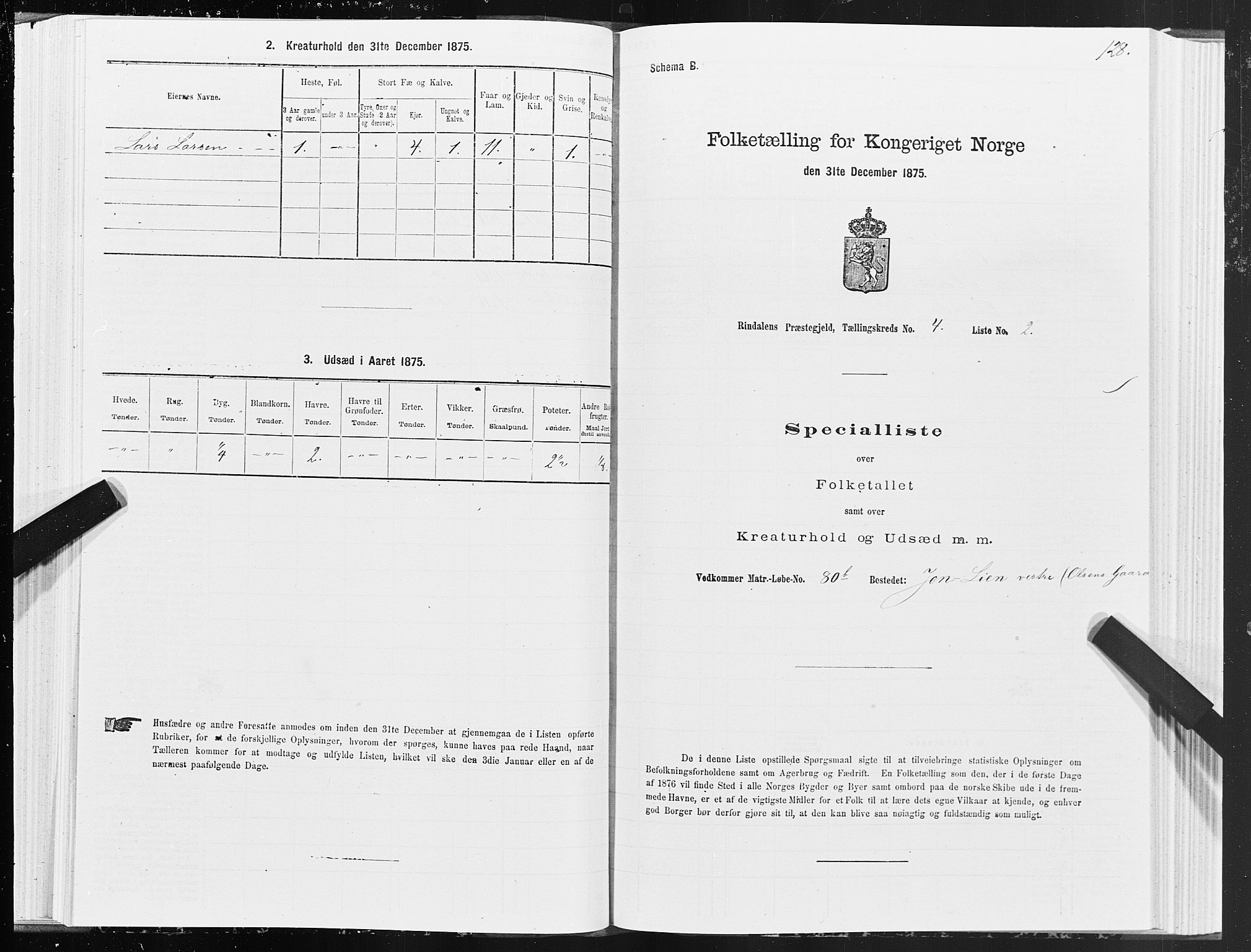 SAT, Folketelling 1875 for 1567P Rindal prestegjeld, 1875, s. 2128