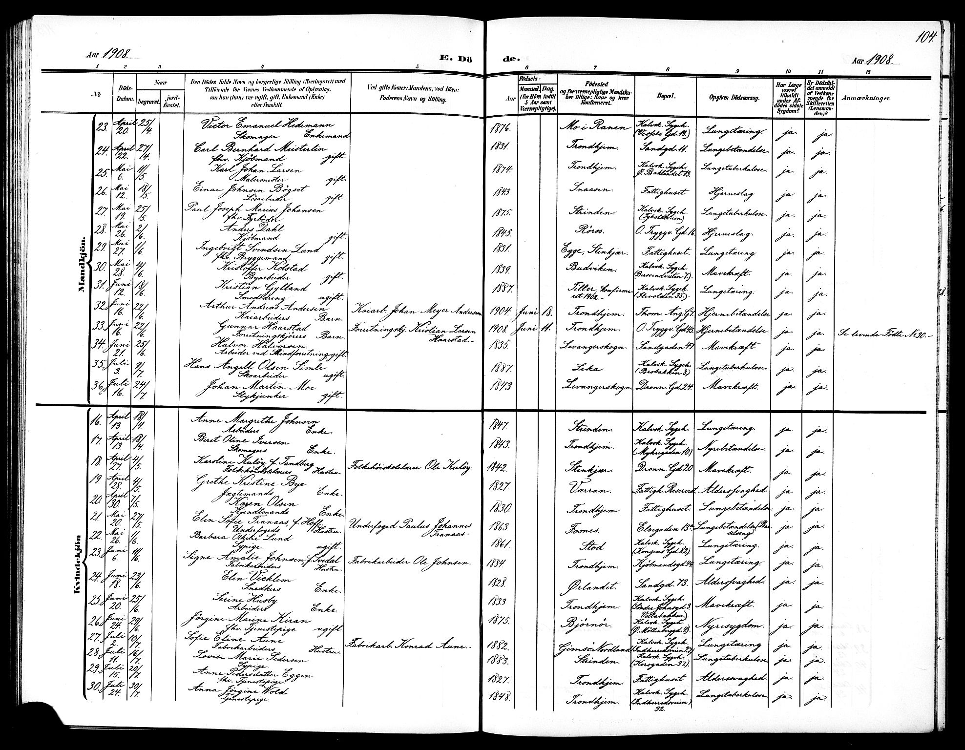 Ministerialprotokoller, klokkerbøker og fødselsregistre - Sør-Trøndelag, AV/SAT-A-1456/602/L0146: Klokkerbok nr. 602C14, 1904-1914, s. 104