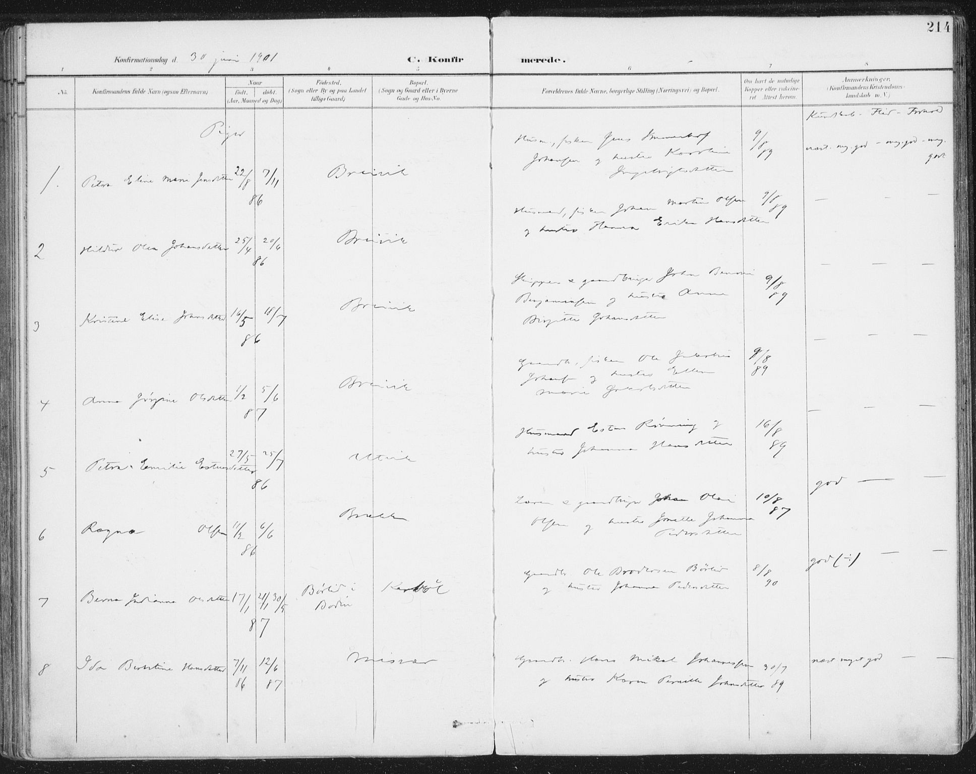 Ministerialprotokoller, klokkerbøker og fødselsregistre - Nordland, AV/SAT-A-1459/852/L0741: Ministerialbok nr. 852A11, 1894-1917, s. 214