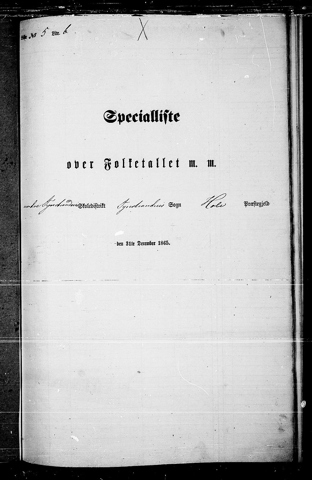 RA, Folketelling 1865 for 0612P Hole prestegjeld, 1865, s. 134