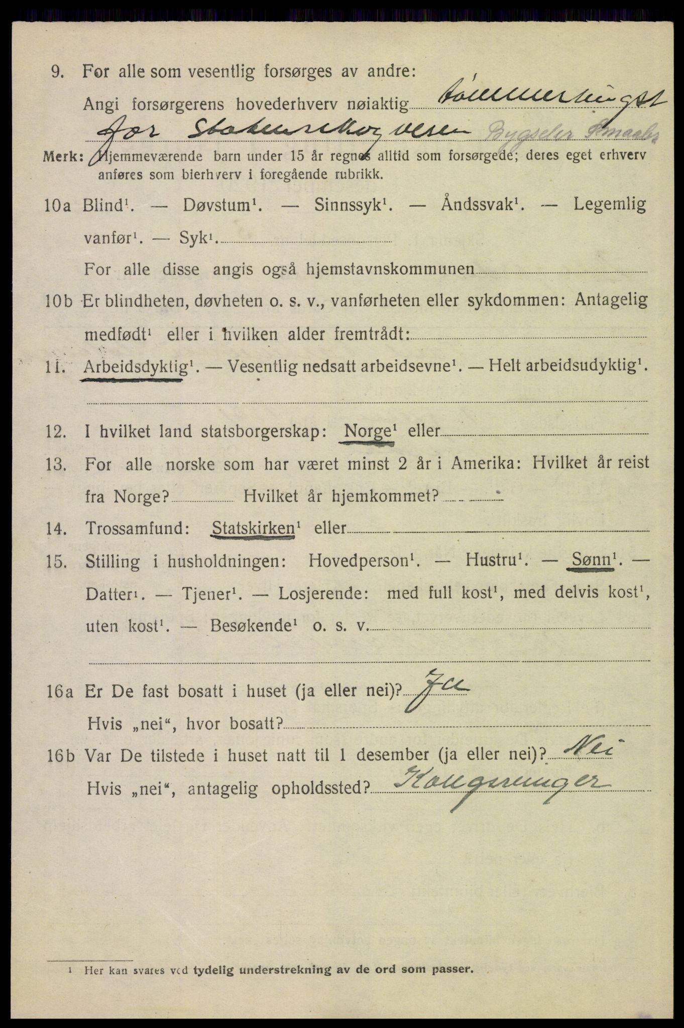 SAH, Folketelling 1920 for 0434 Engerdal herred, 1920, s. 1534
