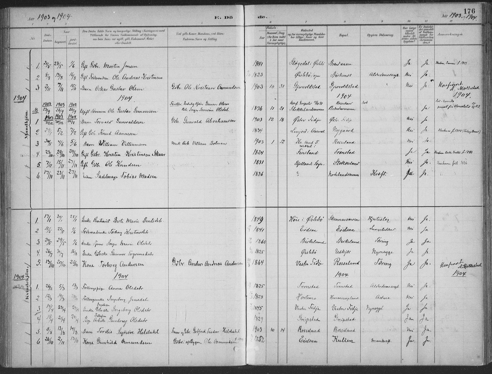 Søgne sokneprestkontor, SAK/1111-0037/F/Fa/Faa/L0003: Ministerialbok nr. A 3, 1883-1910, s. 176