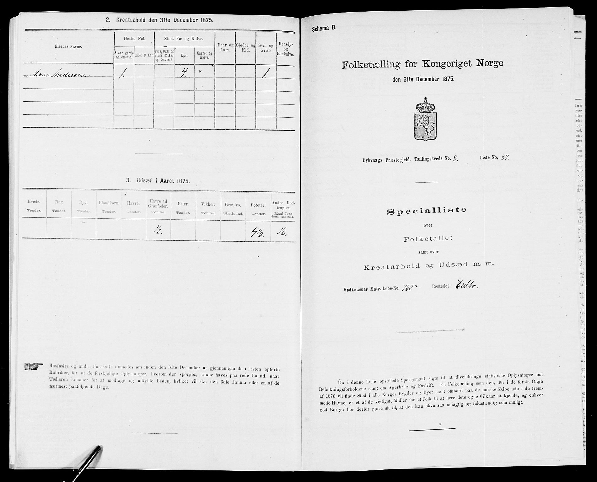 SAK, Folketelling 1875 for 0915P Dypvåg prestegjeld, 1875, s. 1099