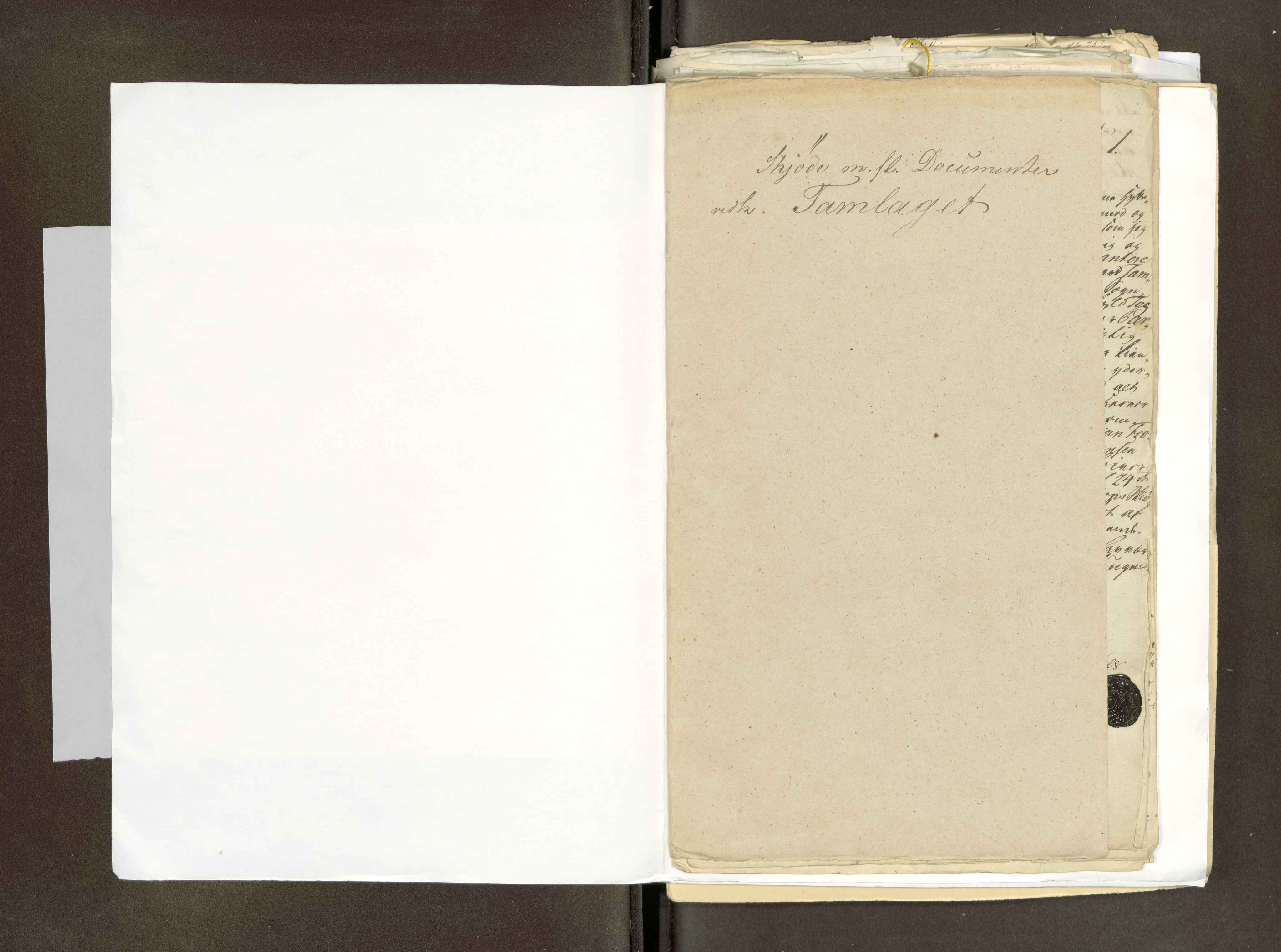 Røros kobberverk, AV/SAT-PA-0211/1/16/16F3/L0001: Strøgods i Holtålen, 1757-1895, s. 3