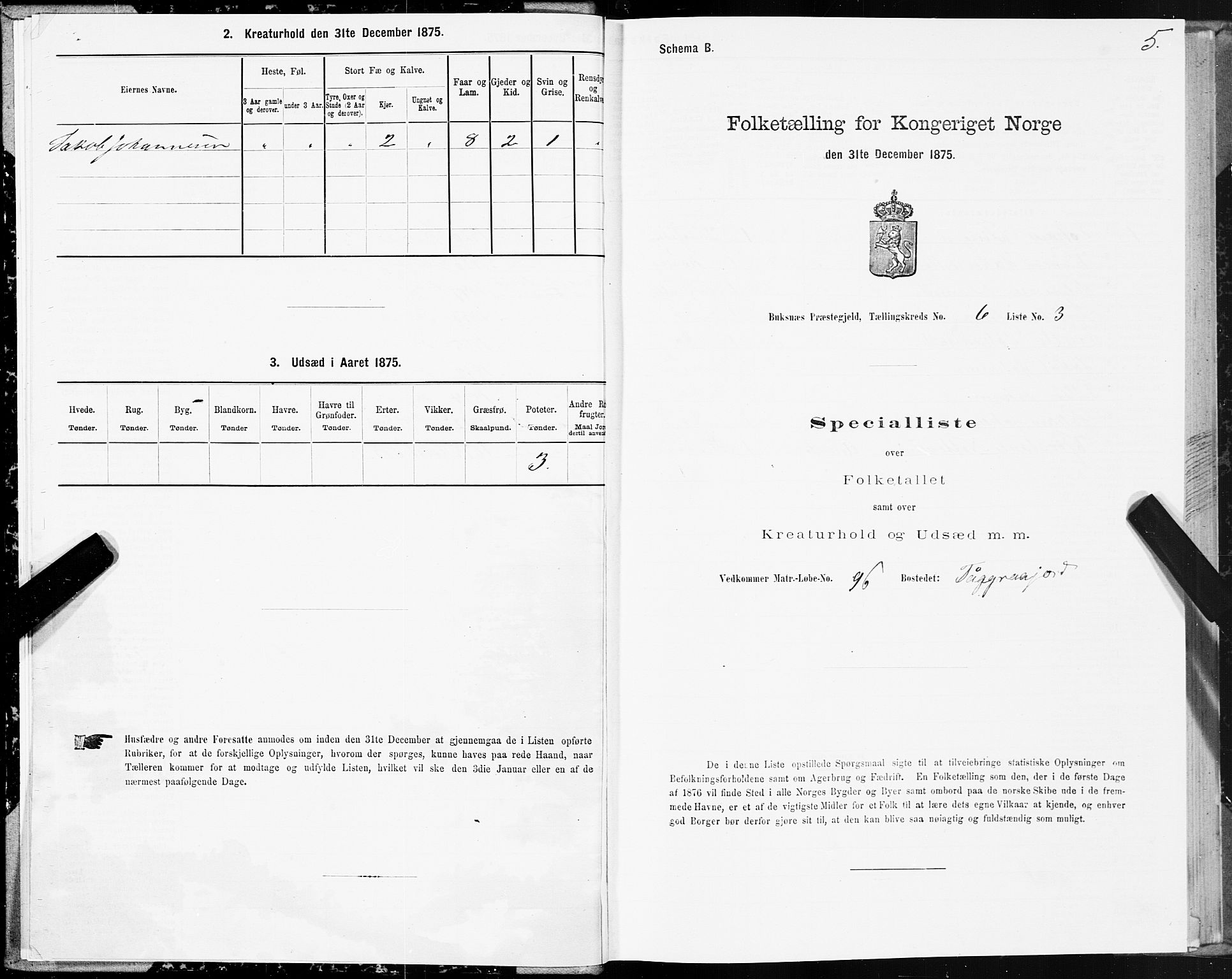 SAT, Folketelling 1875 for 1860P Buksnes prestegjeld, 1875, s. 3005