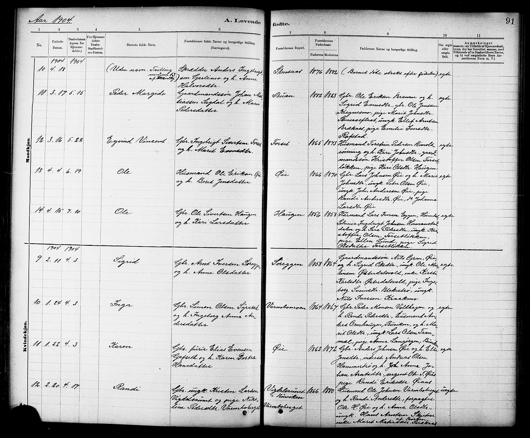 Ministerialprotokoller, klokkerbøker og fødselsregistre - Sør-Trøndelag, AV/SAT-A-1456/691/L1094: Klokkerbok nr. 691C05, 1879-1911, s. 91