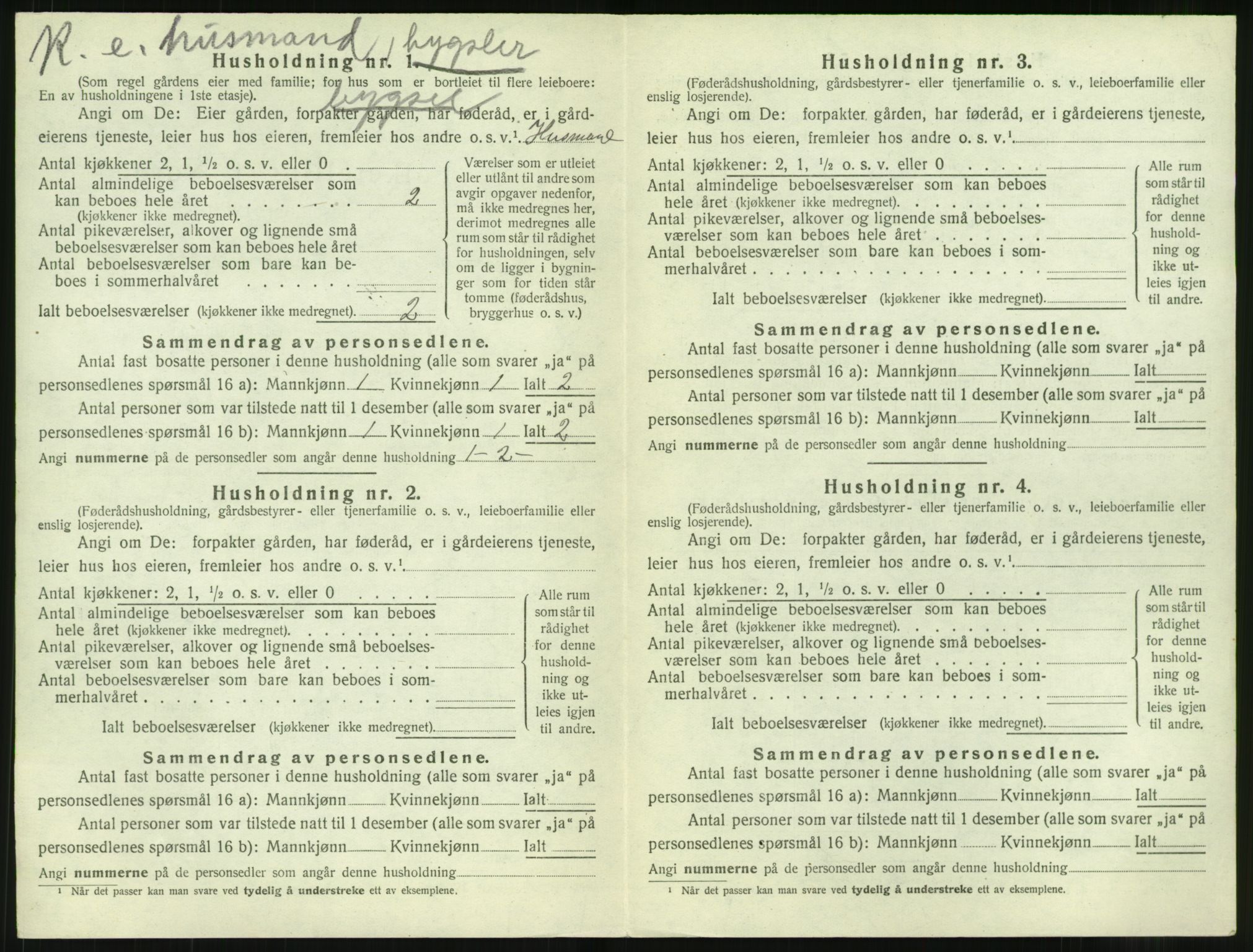 SAT, Folketelling 1920 for 1535 Vestnes herred, 1920, s. 860