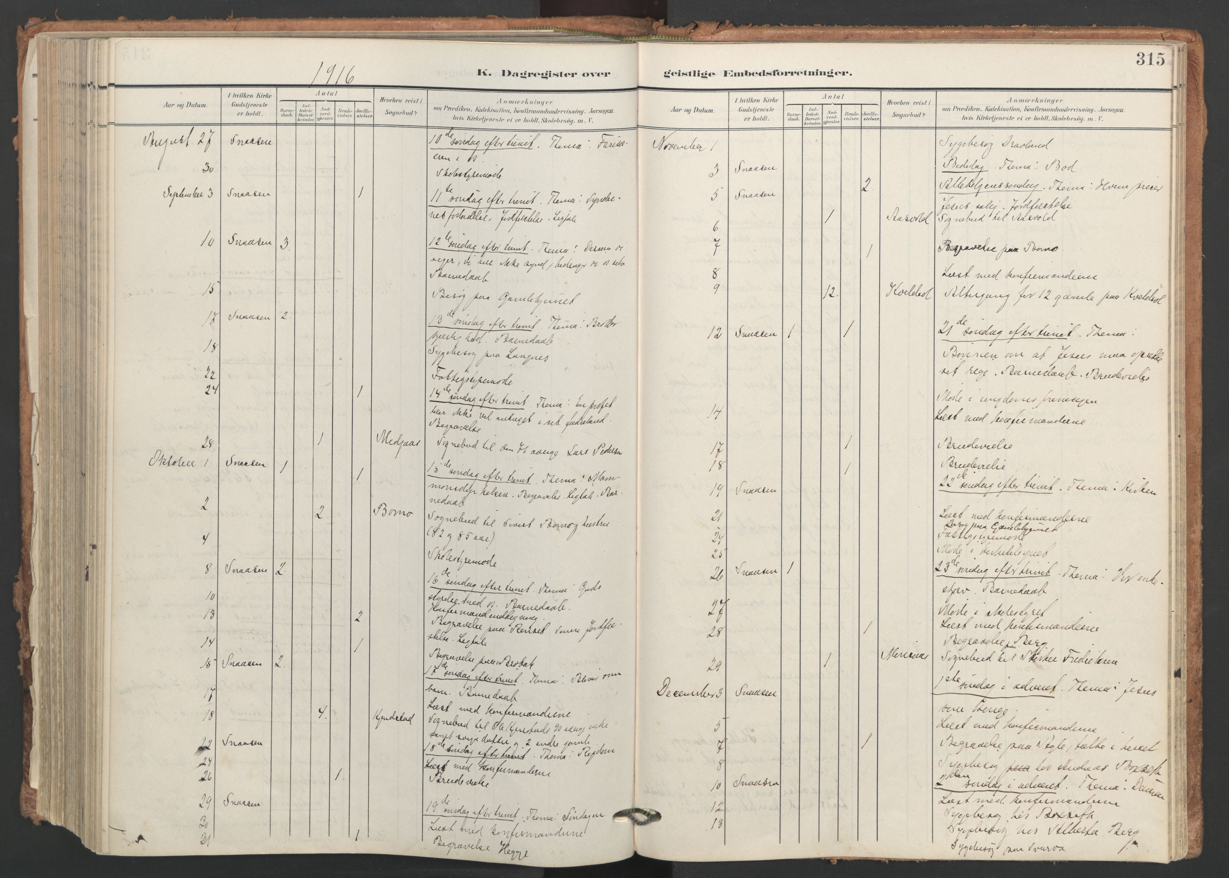 Ministerialprotokoller, klokkerbøker og fødselsregistre - Nord-Trøndelag, AV/SAT-A-1458/749/L0477: Ministerialbok nr. 749A11, 1902-1927, s. 315