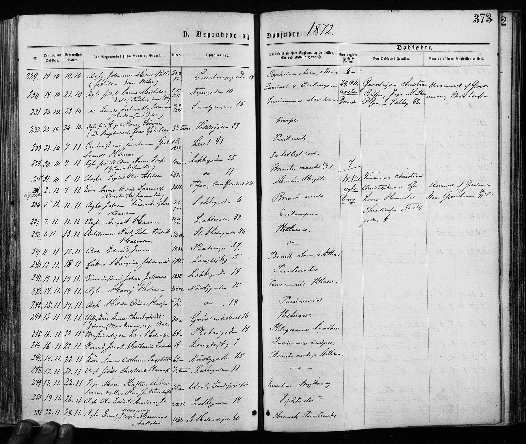 Grønland prestekontor Kirkebøker, AV/SAO-A-10848/F/Fa/L0005: Ministerialbok nr. 5, 1869-1880, s. 373