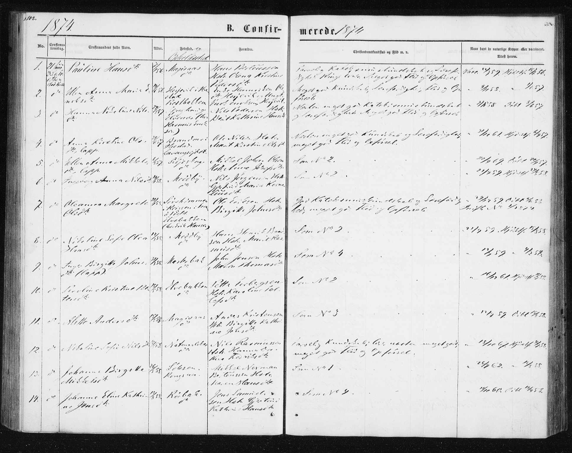 Ibestad sokneprestembete, AV/SATØ-S-0077/H/Ha/Hab/L0013klokker: Klokkerbok nr. 13, 1865-1879, s. 102