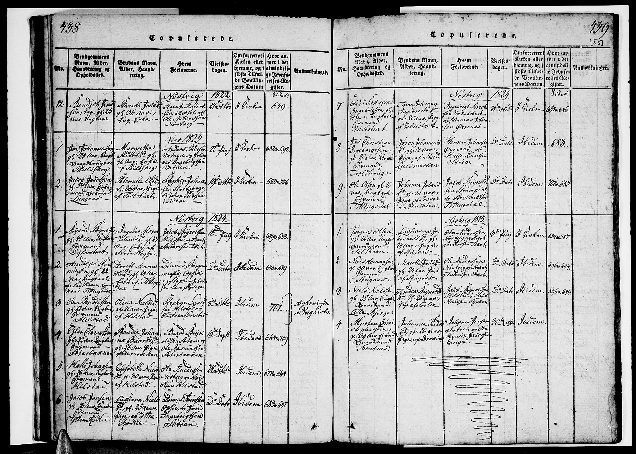Ministerialprotokoller, klokkerbøker og fødselsregistre - Nordland, AV/SAT-A-1459/814/L0223: Ministerialbok nr. 814A04, 1820-1833, s. 438-439