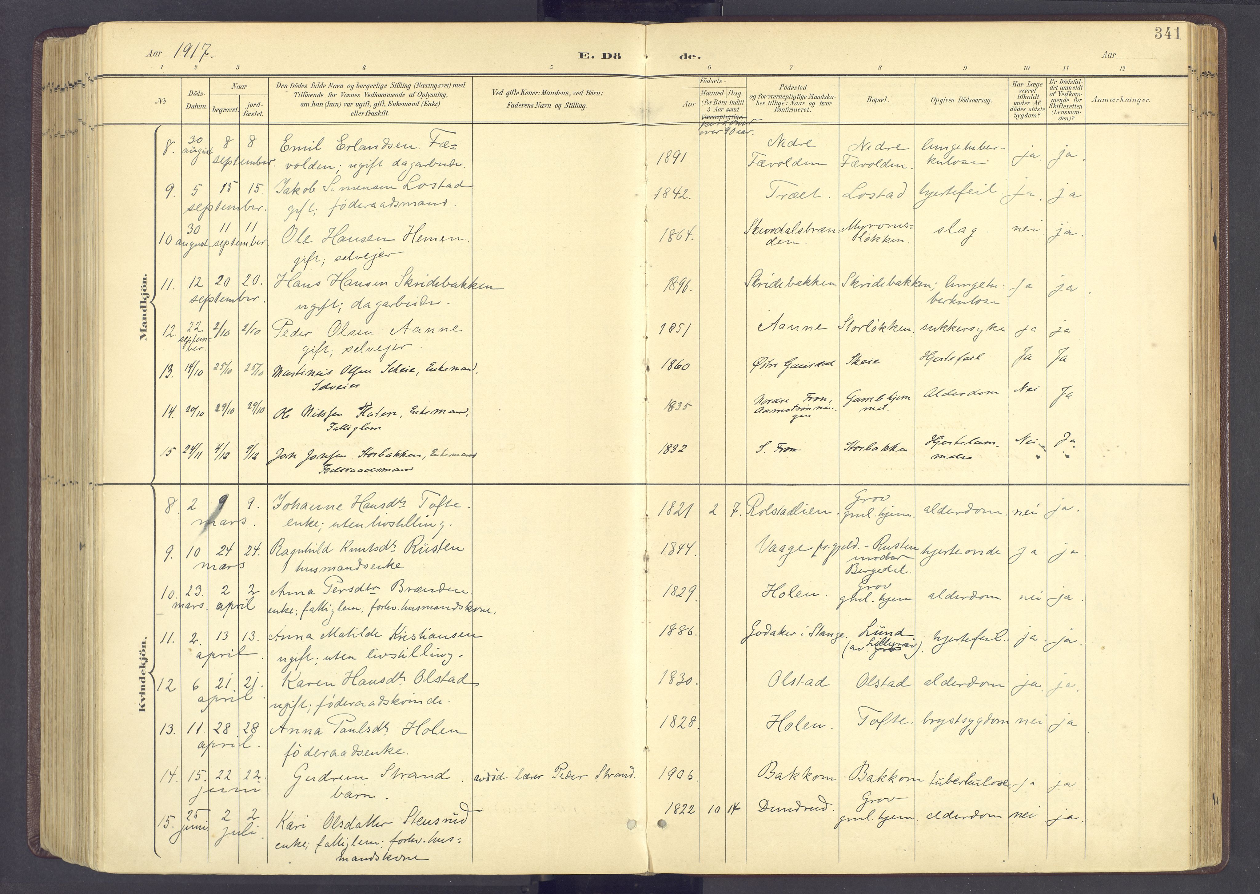 Sør-Fron prestekontor, AV/SAH-PREST-010/H/Ha/Haa/L0004: Ministerialbok nr. 4, 1898-1919, s. 341