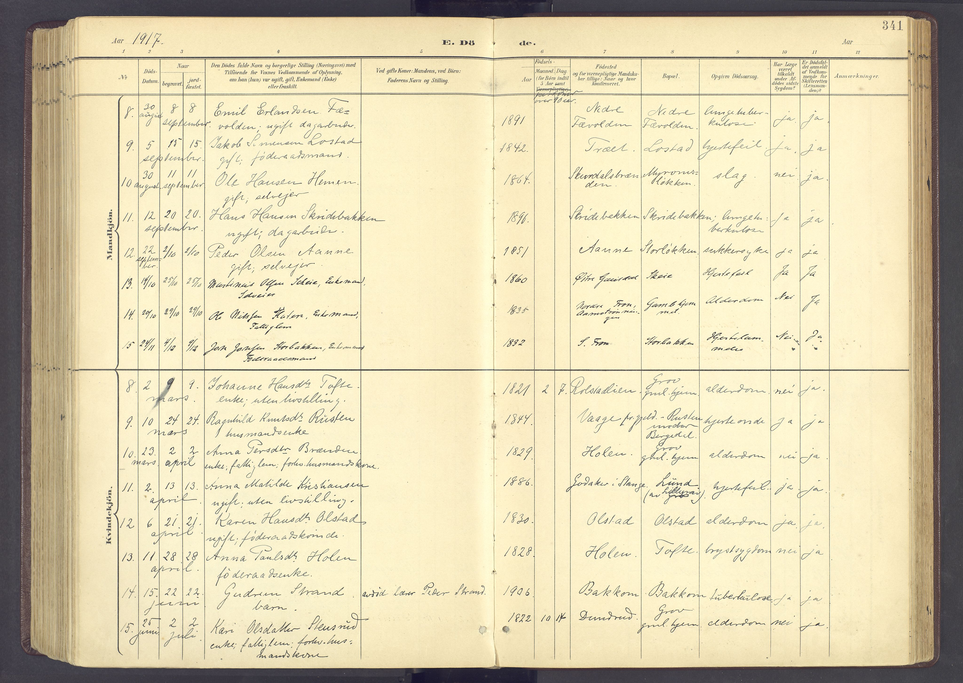 Sør-Fron prestekontor, SAH/PREST-010/H/Ha/Haa/L0004: Ministerialbok nr. 4, 1898-1919, s. 341