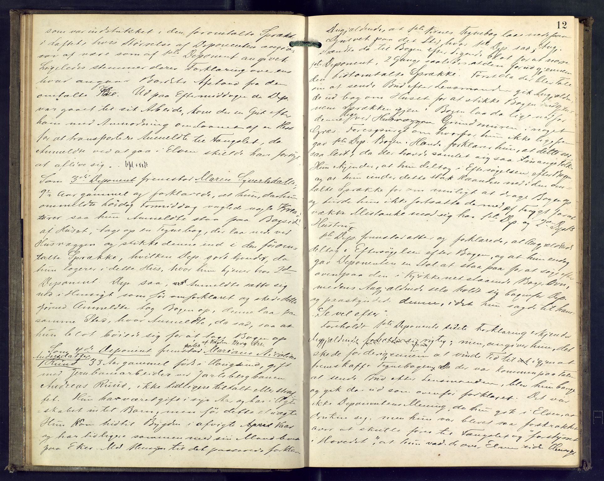 Nordre Jarlsberg sorenskriveri, AV/SAKO-A-80/F/Fb/Fba/L0023: Ekstrarettsprotokoll, 1878-1880, s. 12