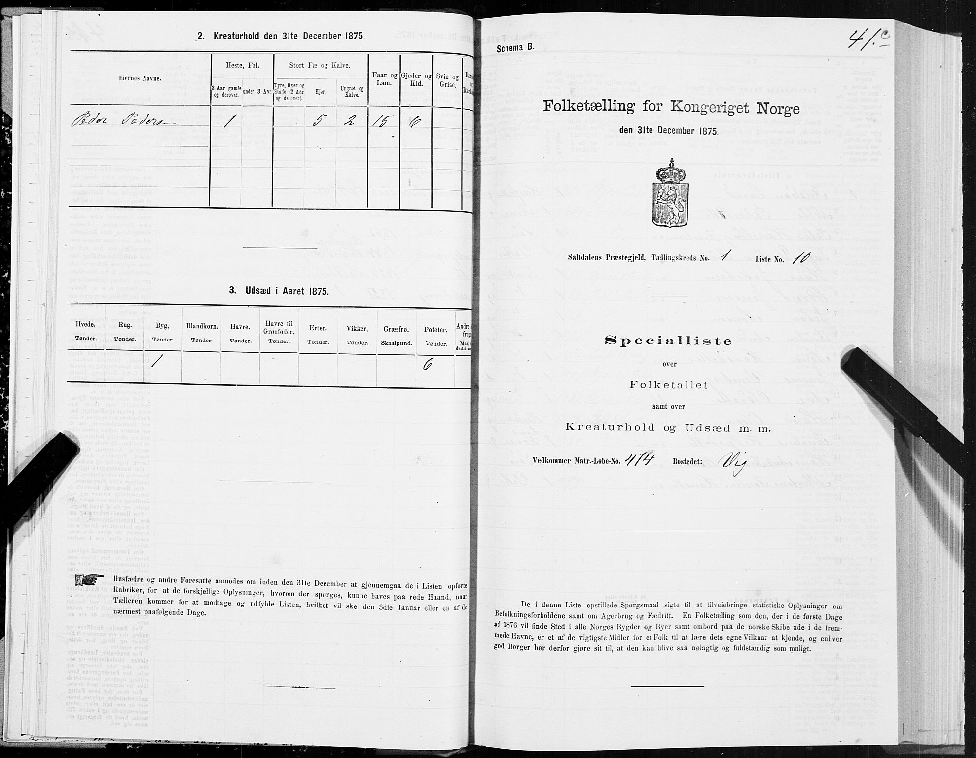 SAT, Folketelling 1875 for 1840P Saltdal prestegjeld, 1875, s. 1041c