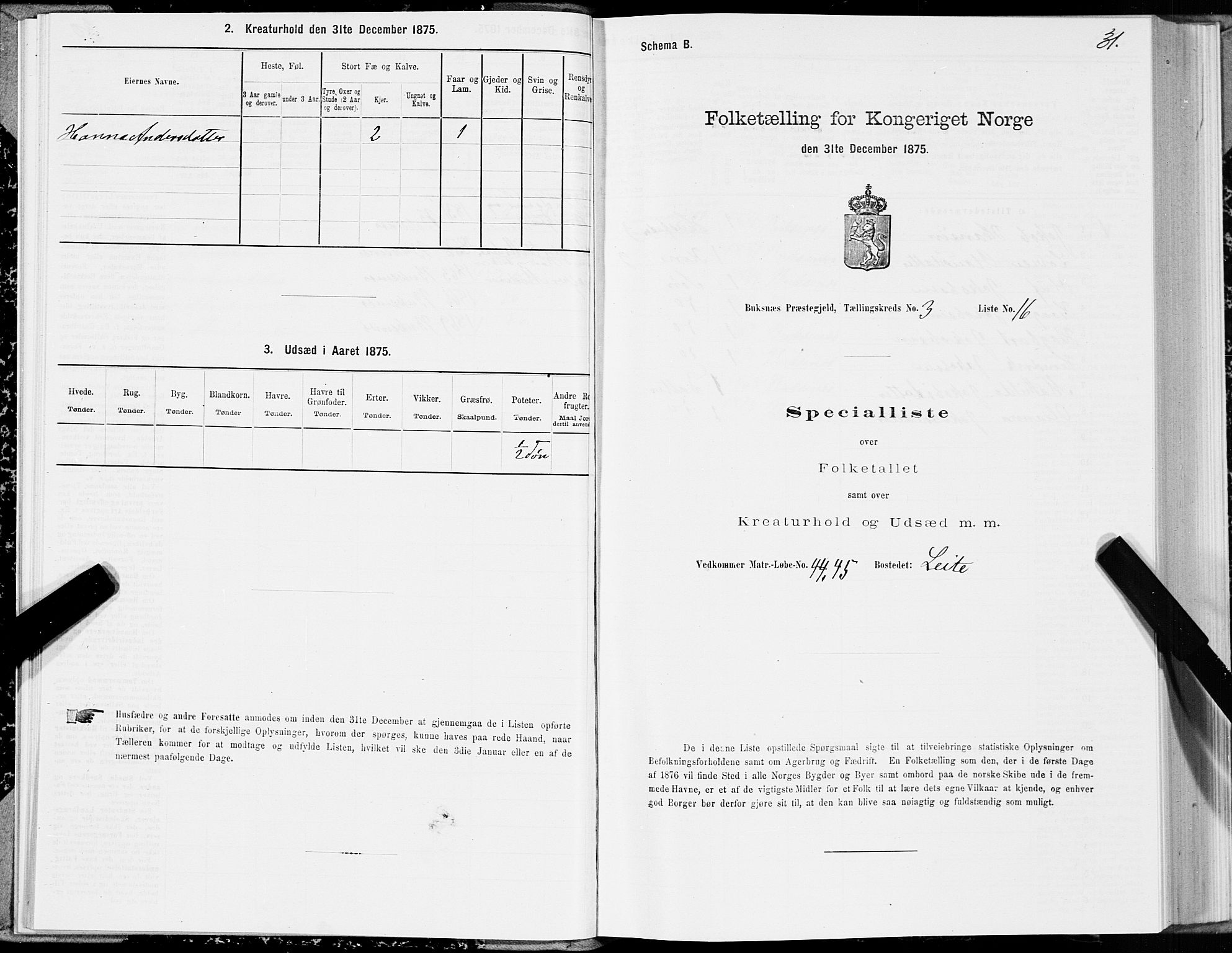 SAT, Folketelling 1875 for 1860P Buksnes prestegjeld, 1875, s. 2031