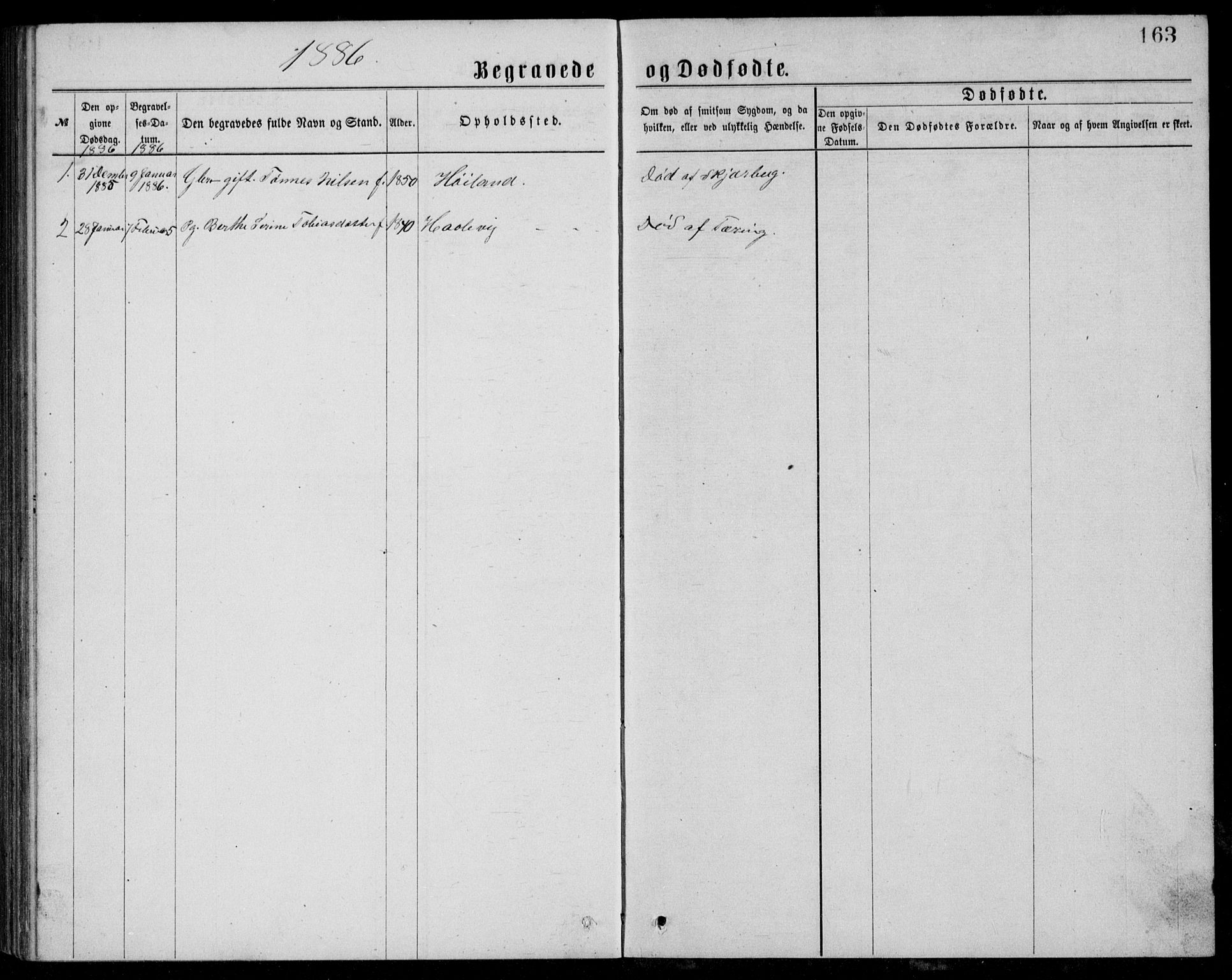 Lyngdal sokneprestkontor, SAK/1111-0029/F/Fb/Fba/L0002: Klokkerbok nr. B 2, 1876-1886, s. 163