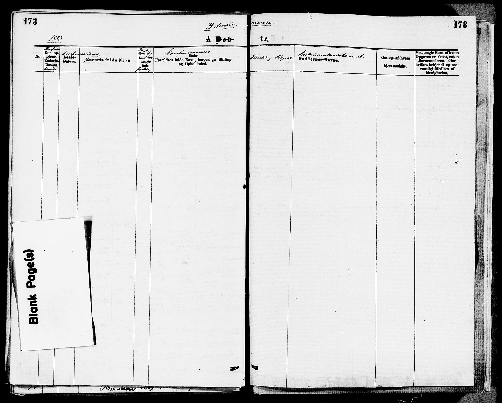 Stokke kirkebøker, AV/SAKO-A-320/F/Fa/L0009: Ministerialbok nr. I 9, 1872-1883, s. 173