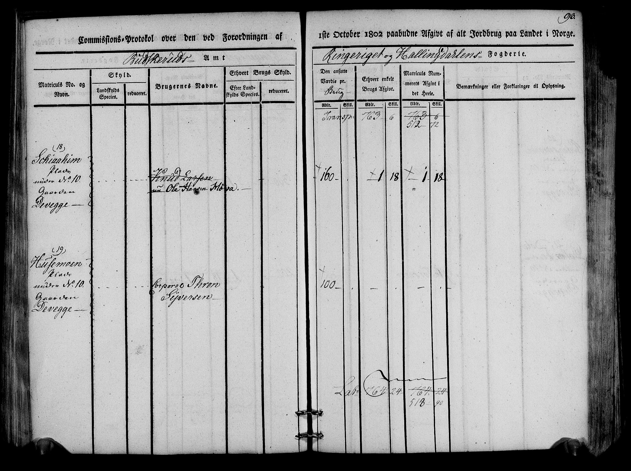 Rentekammeret inntil 1814, Realistisk ordnet avdeling, AV/RA-EA-4070/N/Ne/Nea/L0047: Ringerike og Hallingdal fogderi. Kommisjonsprotokoll for Nes prestegjeld, 1803, s. 96