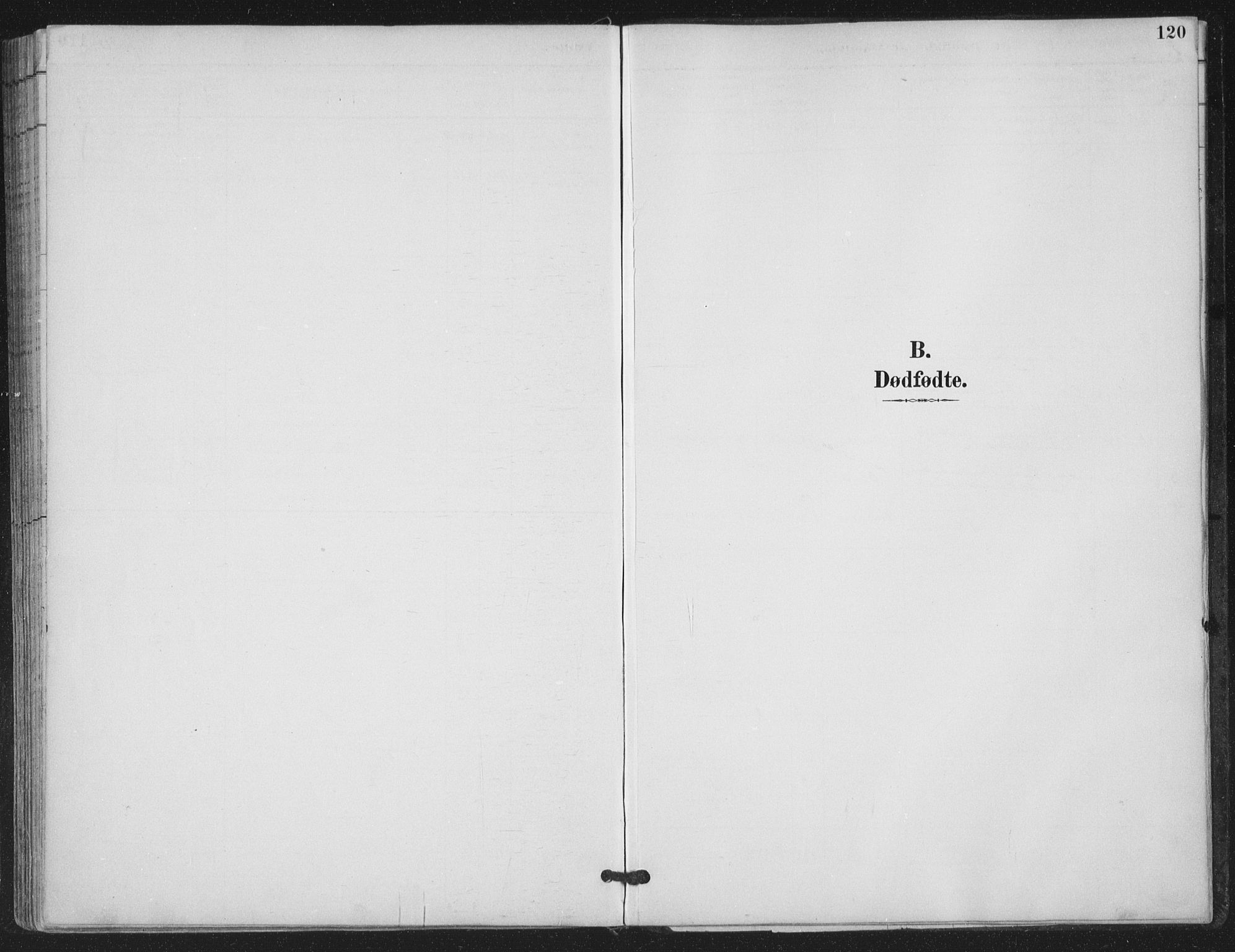 Ministerialprotokoller, klokkerbøker og fødselsregistre - Nordland, AV/SAT-A-1459/843/L0628: Ministerialbok nr. 843A03, 1889-1907, s. 120