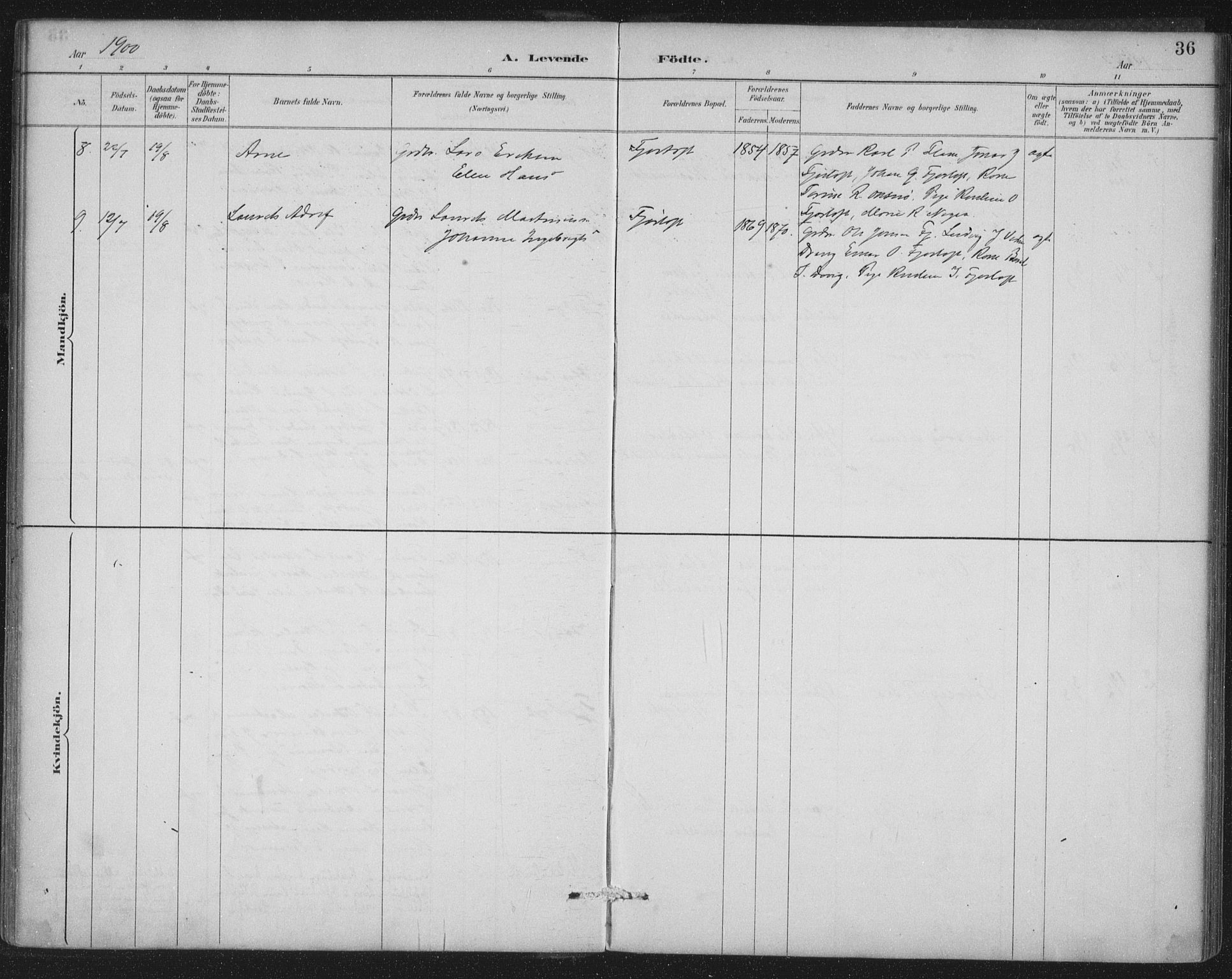 Ministerialprotokoller, klokkerbøker og fødselsregistre - Møre og Romsdal, AV/SAT-A-1454/538/L0522: Ministerialbok nr. 538A01, 1884-1913, s. 36