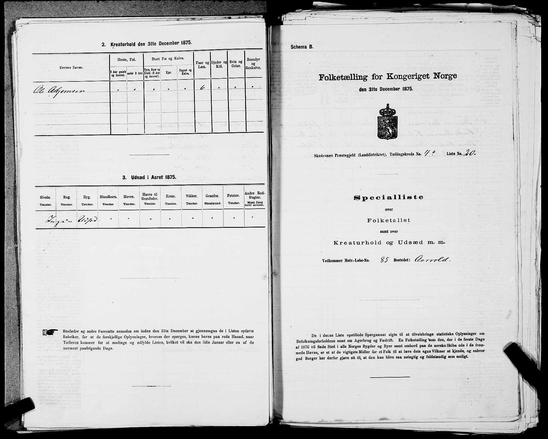 SAST, Folketelling 1875 for 1150L Skudenes prestegjeld, Falnes sokn, Åkra sokn og Ferkingstad sokn, 1875, s. 396