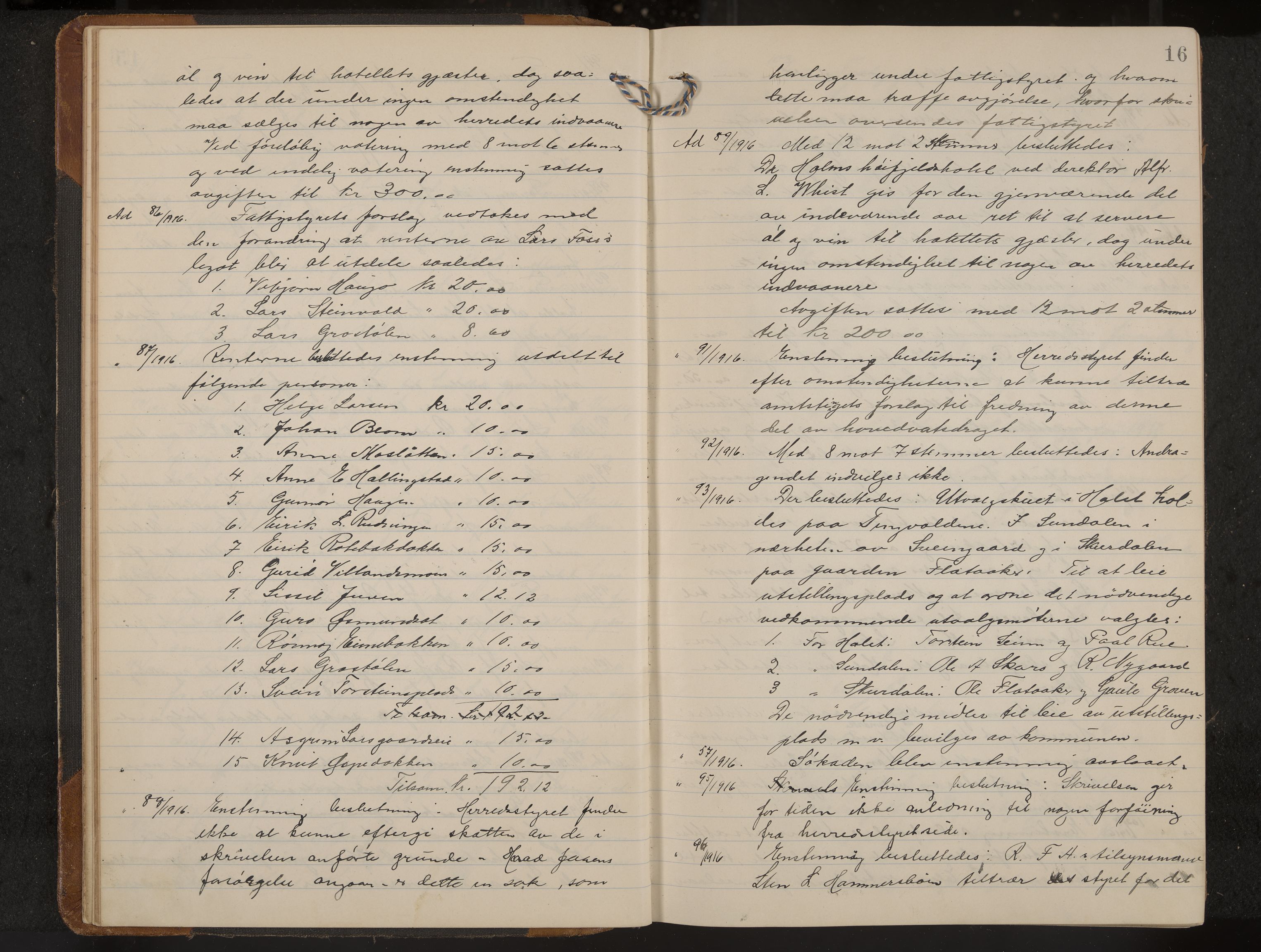 Hol formannskap og sentraladministrasjon, IKAK/0620021-1/A/L0006: Møtebok, 1916-1922, s. 16