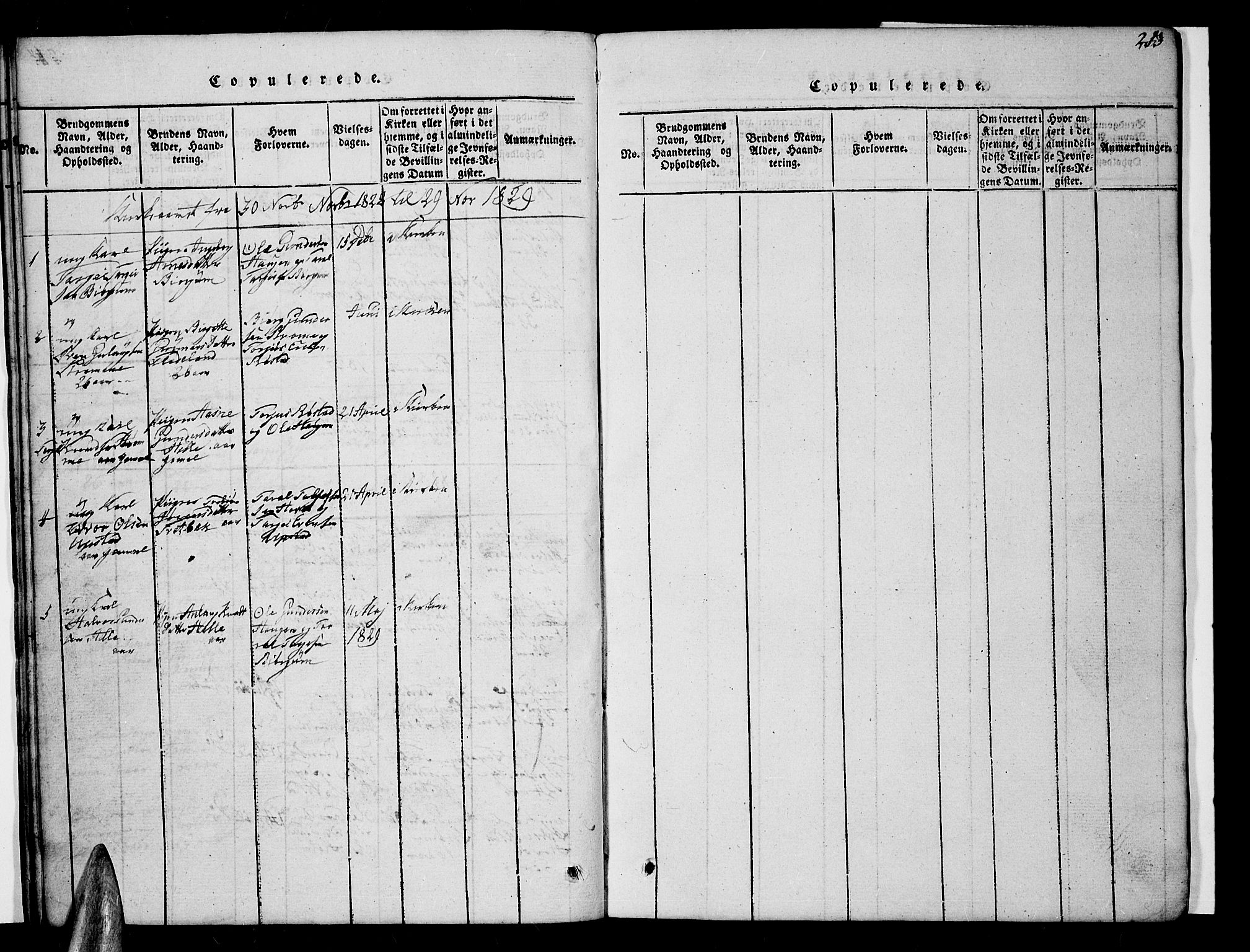 Valle sokneprestkontor, AV/SAK-1111-0044/F/Fb/Fbc/L0001: Klokkerbok nr. B 1 /2, 1816-1829, s. 213