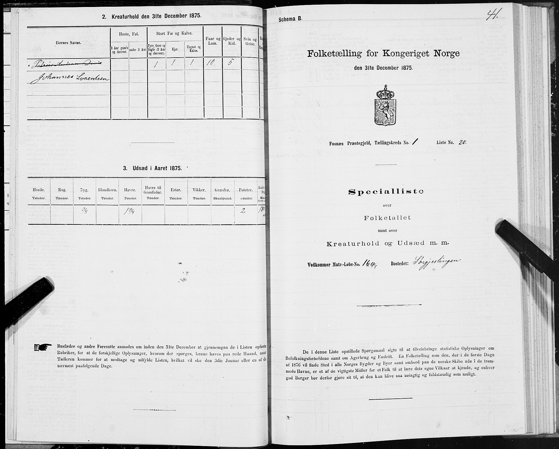 SAT, Folketelling 1875 for 1748P Fosnes prestegjeld, 1875, s. 1041