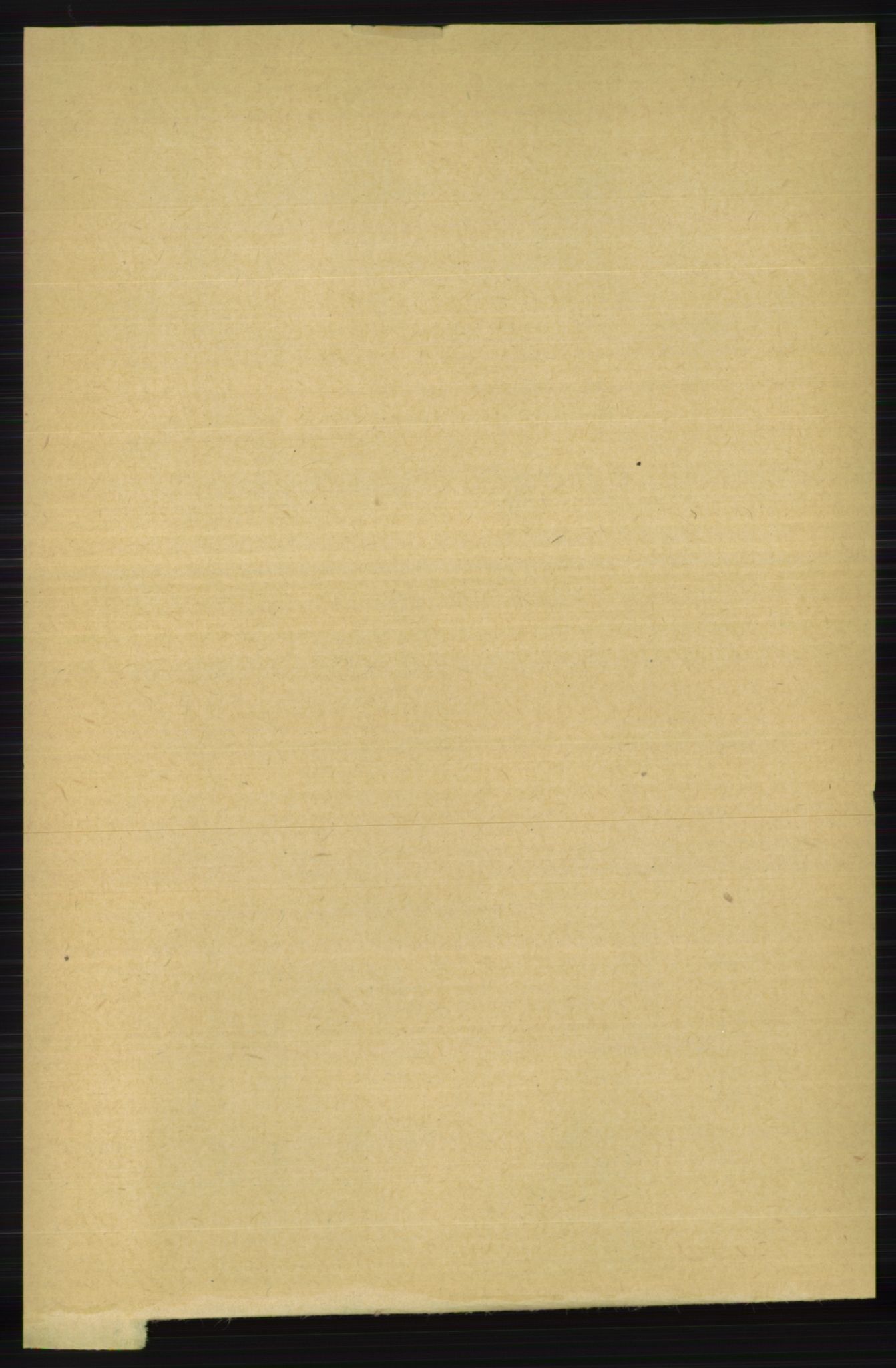 RA, Folketelling 1891 for 1150 Skudenes herred, 1891, s. 2981