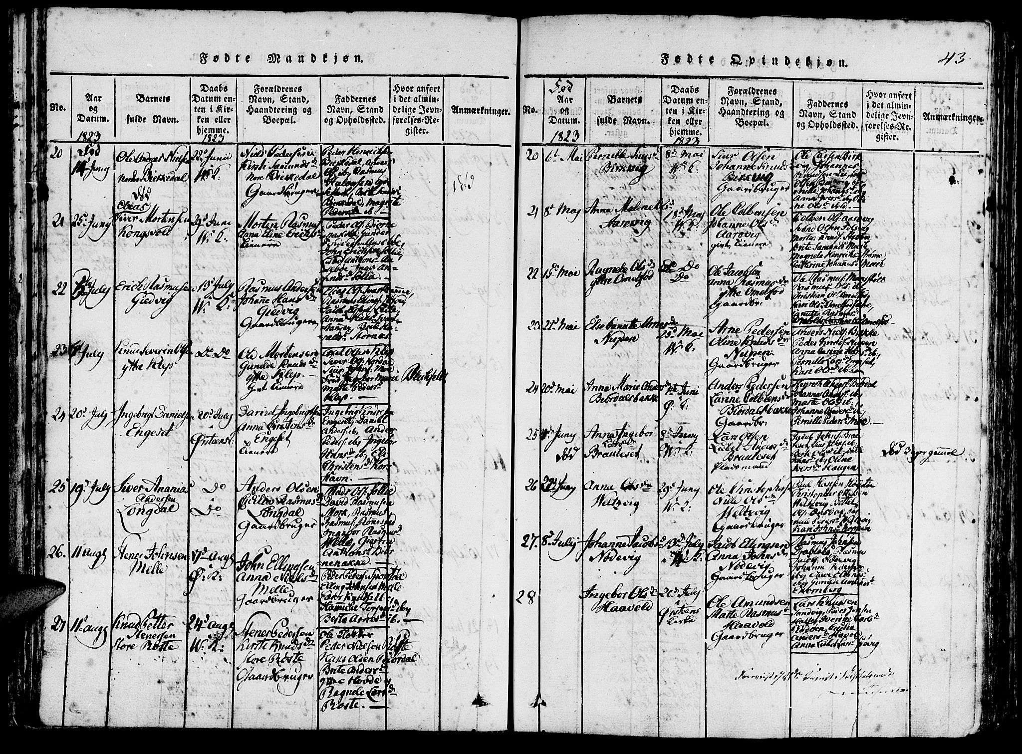 Ministerialprotokoller, klokkerbøker og fødselsregistre - Møre og Romsdal, AV/SAT-A-1454/511/L0138: Ministerialbok nr. 511A05, 1817-1832, s. 43