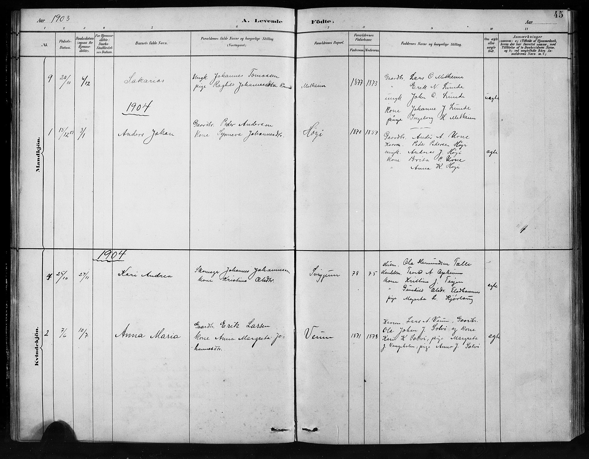 Jostedal sokneprestembete, AV/SAB-A-80601/H/Hab/Habb/L0001: Klokkerbok nr. B 1, 1882-1921, s. 45
