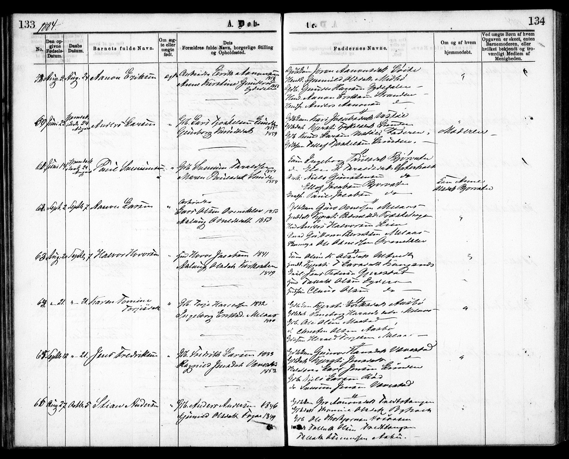 Gjerstad sokneprestkontor, AV/SAK-1111-0014/F/Fa/Faa/L0008: Ministerialbok nr. A 8, 1876-1884, s. 133-134