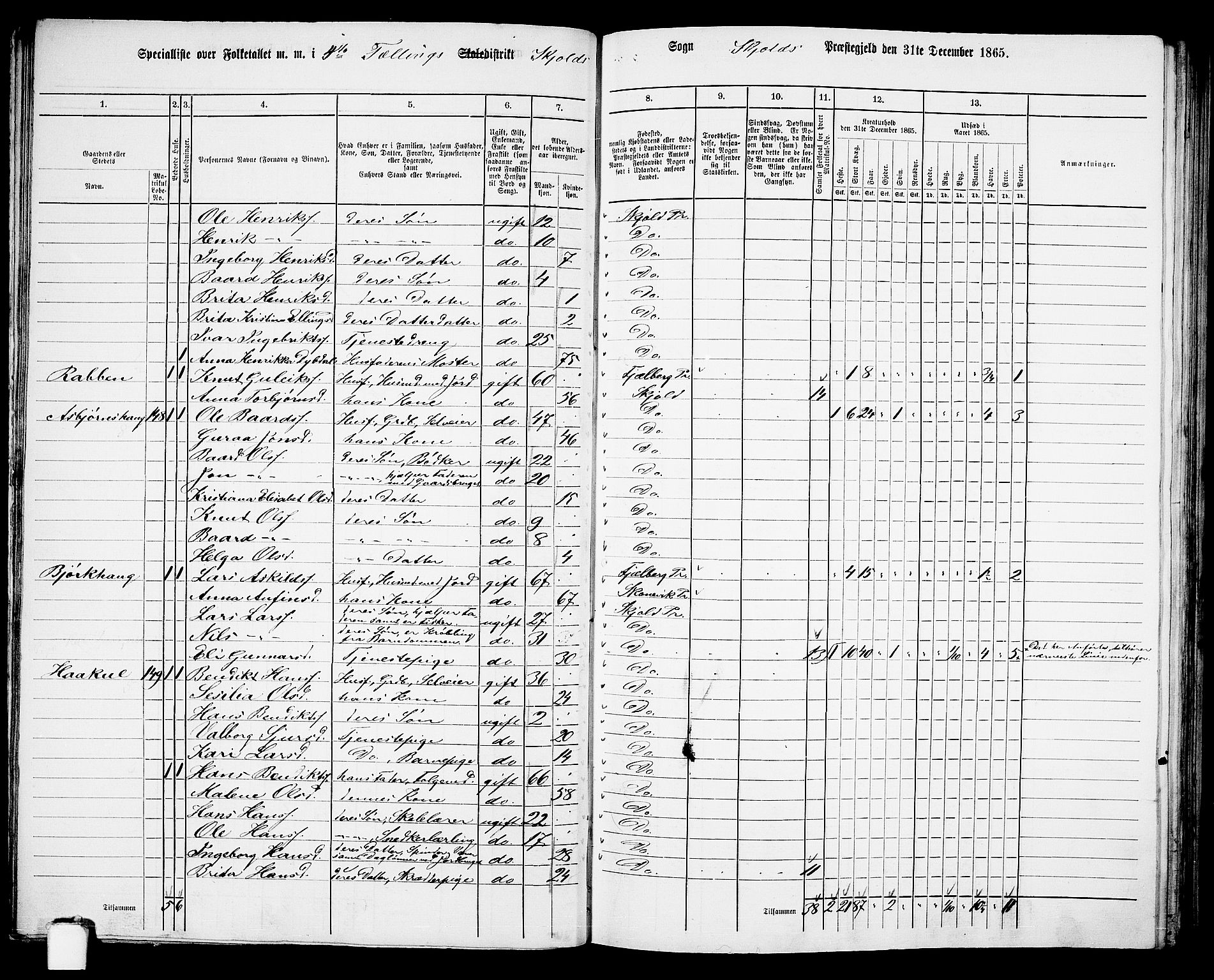 RA, Folketelling 1865 for 1154P Skjold prestegjeld, 1865, s. 69
