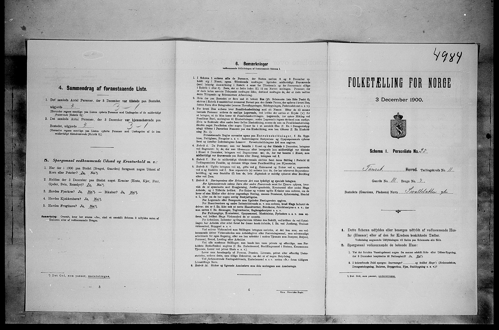 SAH, Folketelling 1900 for 0437 Tynset herred, 1900, s. 1047