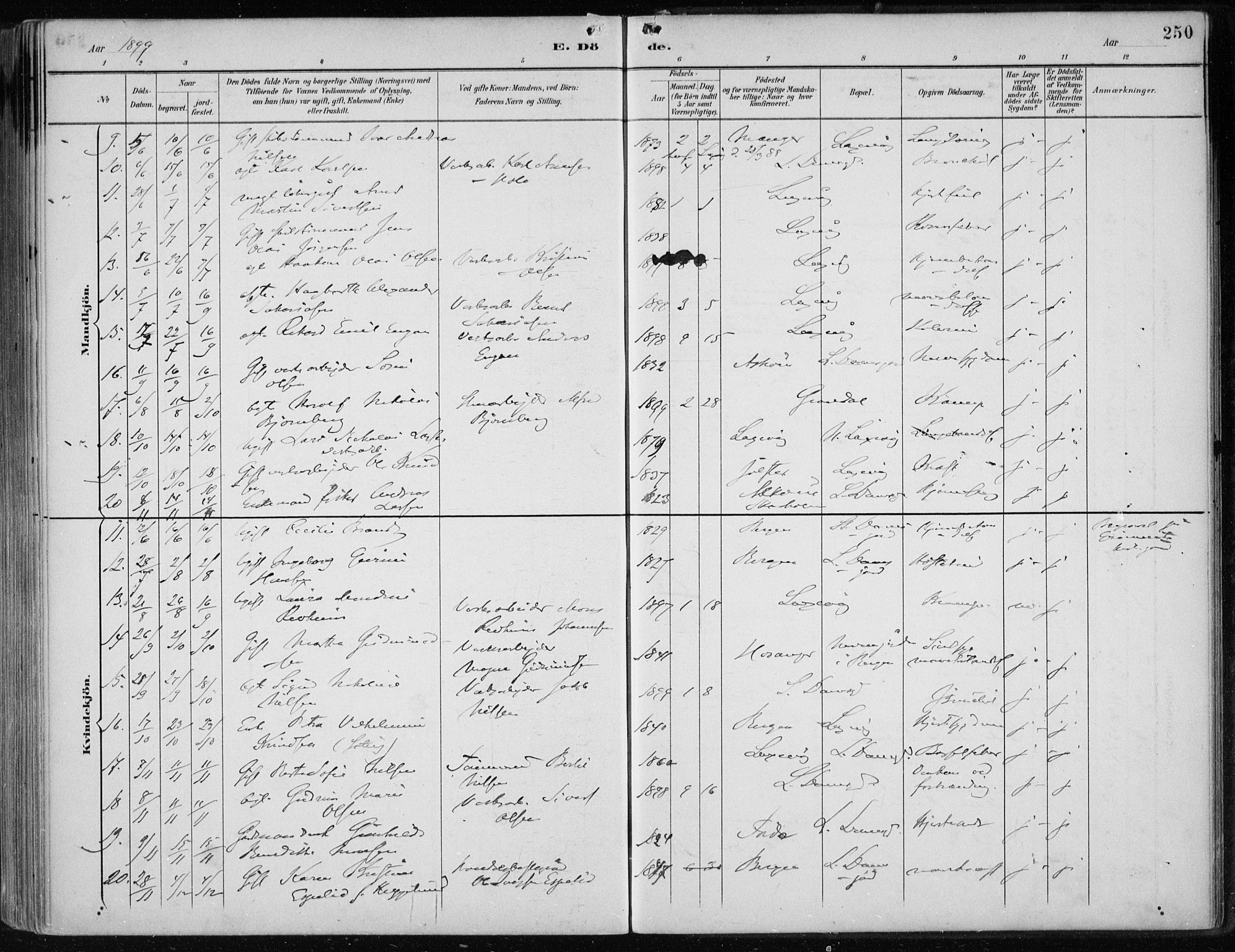 Askøy Sokneprestembete, AV/SAB-A-74101/H/Ha/Haa/Haae/L0003: Ministerialbok nr. E 3, 1891-1903, s. 250