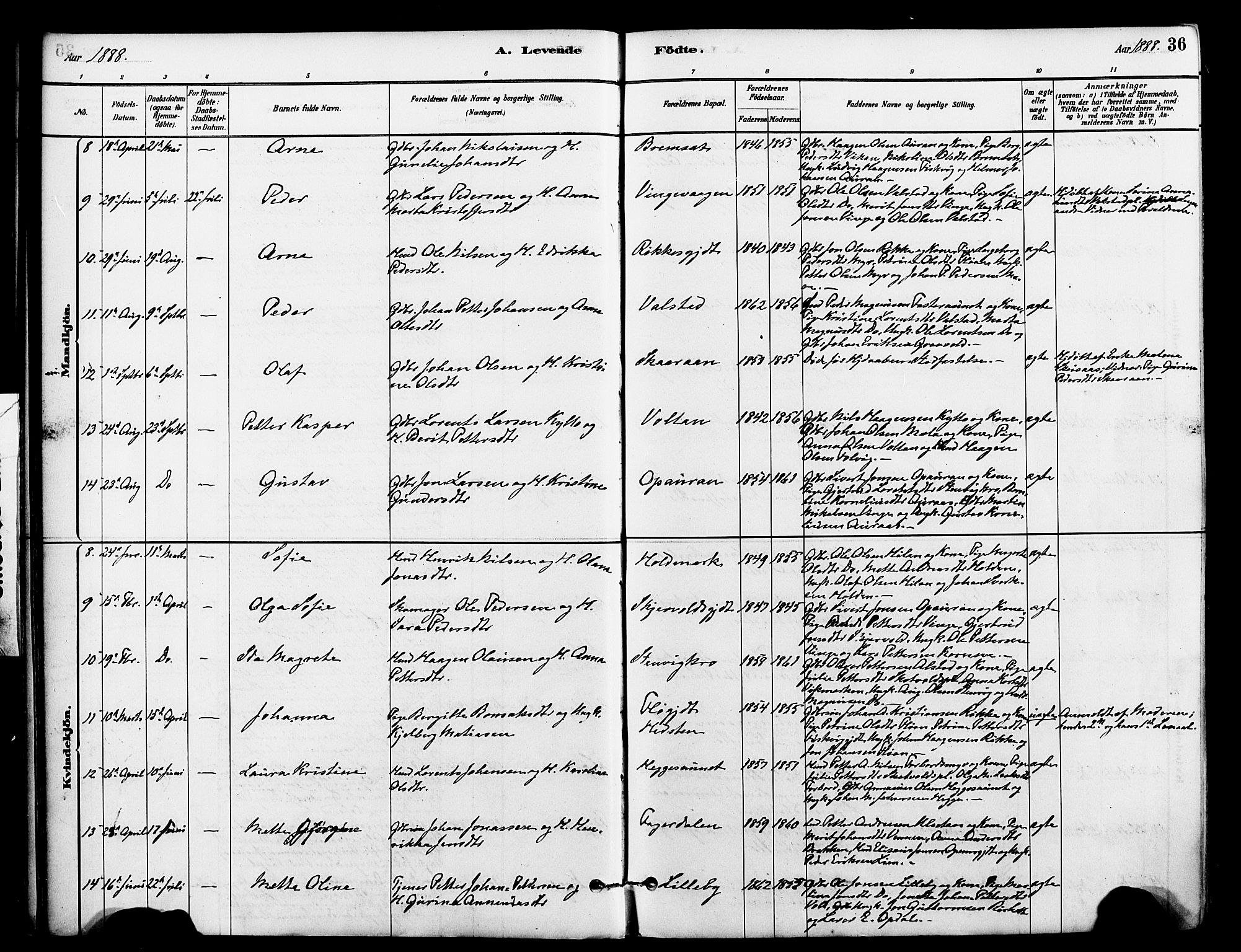 Ministerialprotokoller, klokkerbøker og fødselsregistre - Nord-Trøndelag, AV/SAT-A-1458/712/L0100: Ministerialbok nr. 712A01, 1880-1900, s. 36